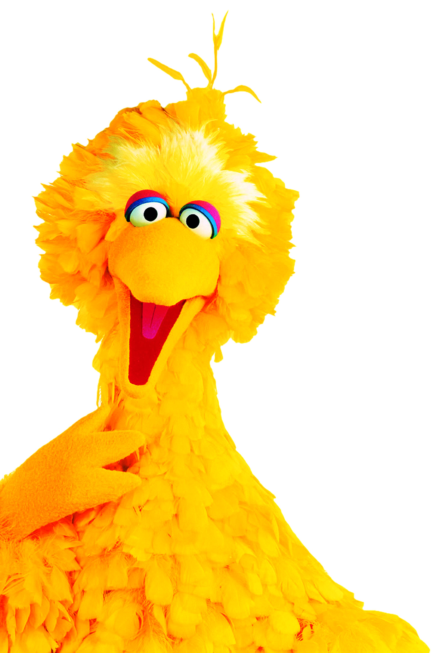 Sesame Street: Big Bird, The muppet designed by Don Sahlin from Jim Henson's sketches. 1500x2220 HD Wallpaper.