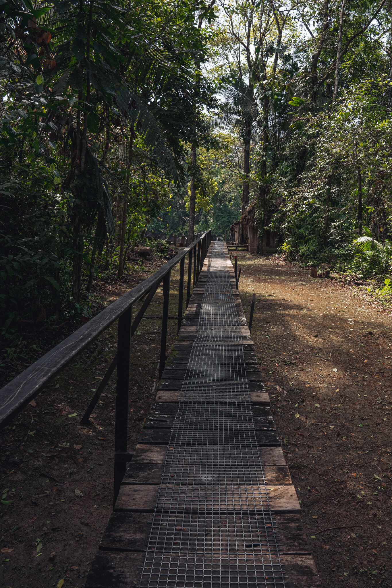 Cuyabeno National Park, Wildlife reserve, Breathtaking nature, Amazon rainforest, 1370x2050 HD Phone