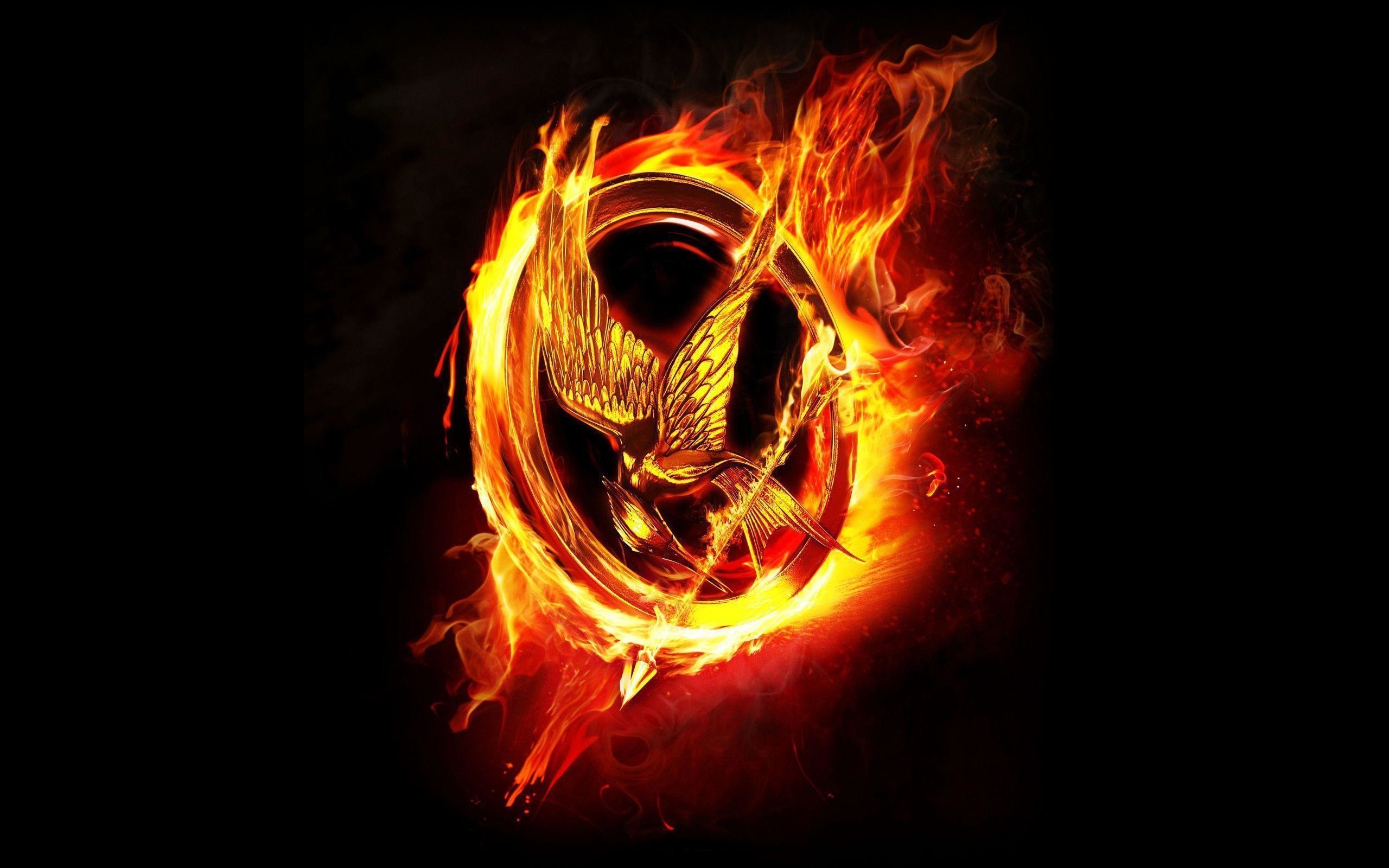 Hunger Games: Mockingjay - Part 1 was released in 2014 and Mockingjay - Part 2 was released in 2015. 2560x1600 HD Wallpaper.