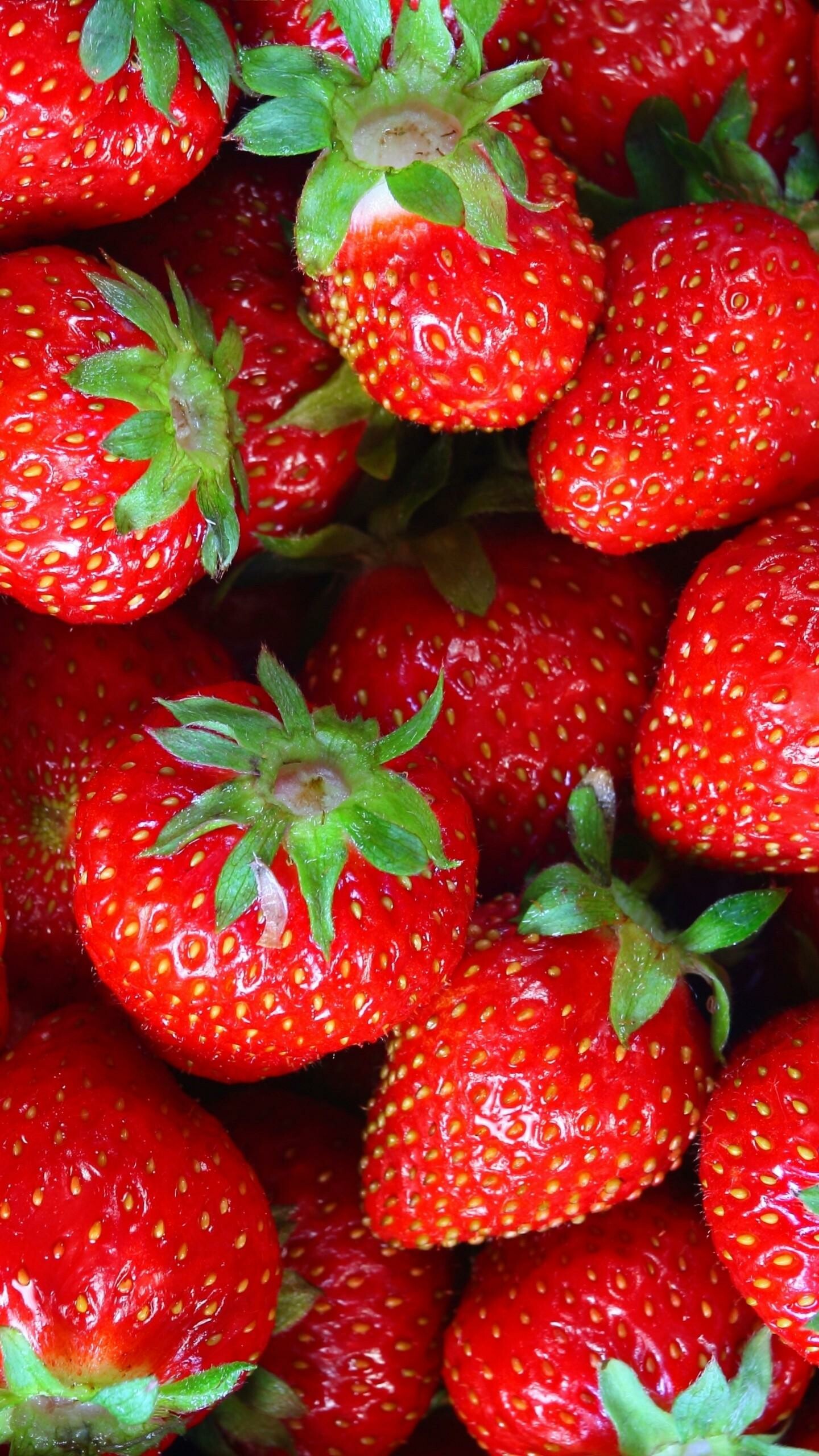 Fruit: Strawberry, A member of the Rosaceae family. 1440x2560 HD Wallpaper.
