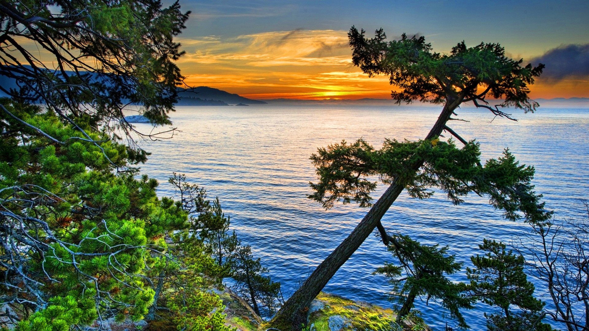 Lake sunset beauty, Pine tree silhouette, HD wallpaper, Serene atmosphere, 1920x1080 Full HD Desktop