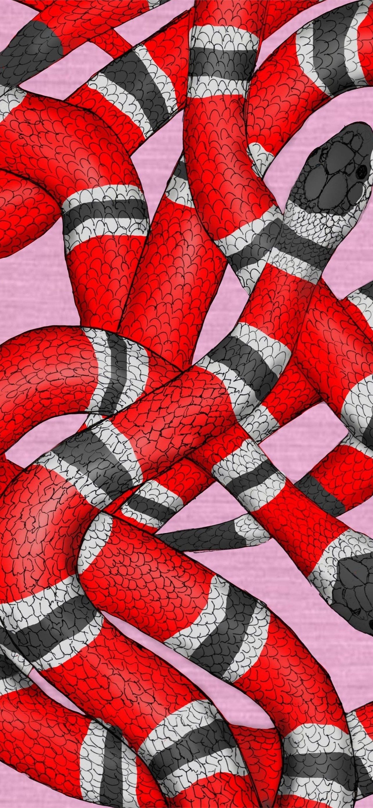Gucci: The black, white and red stripes of the Kingsnake, One of Gucci's most striking animal symbols. 1290x2780 HD Background.