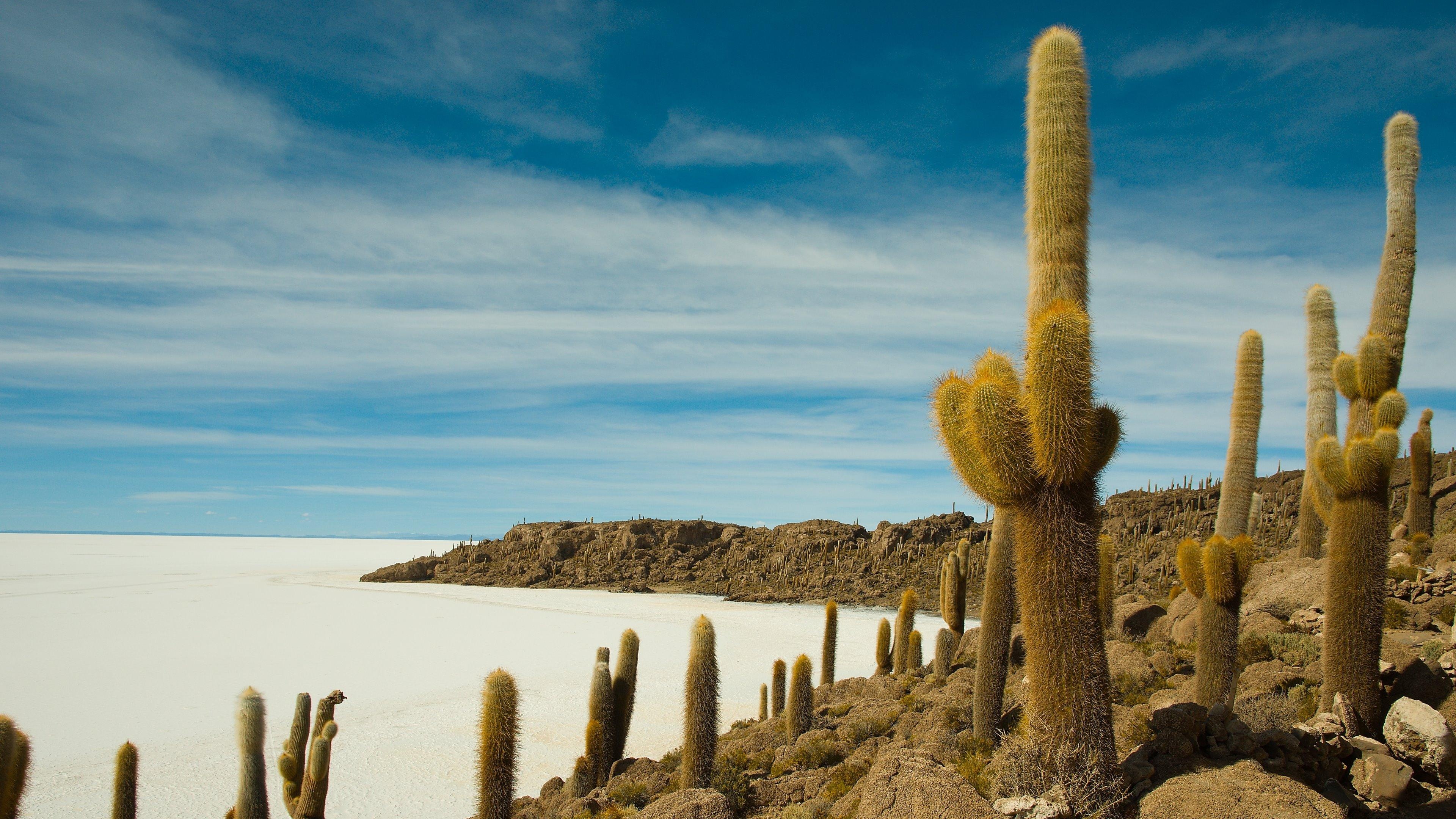 Isla Incahuasi, Uyuni Salt Flat, Bolivia, Wallpaper, 3840x2160 4K Desktop
