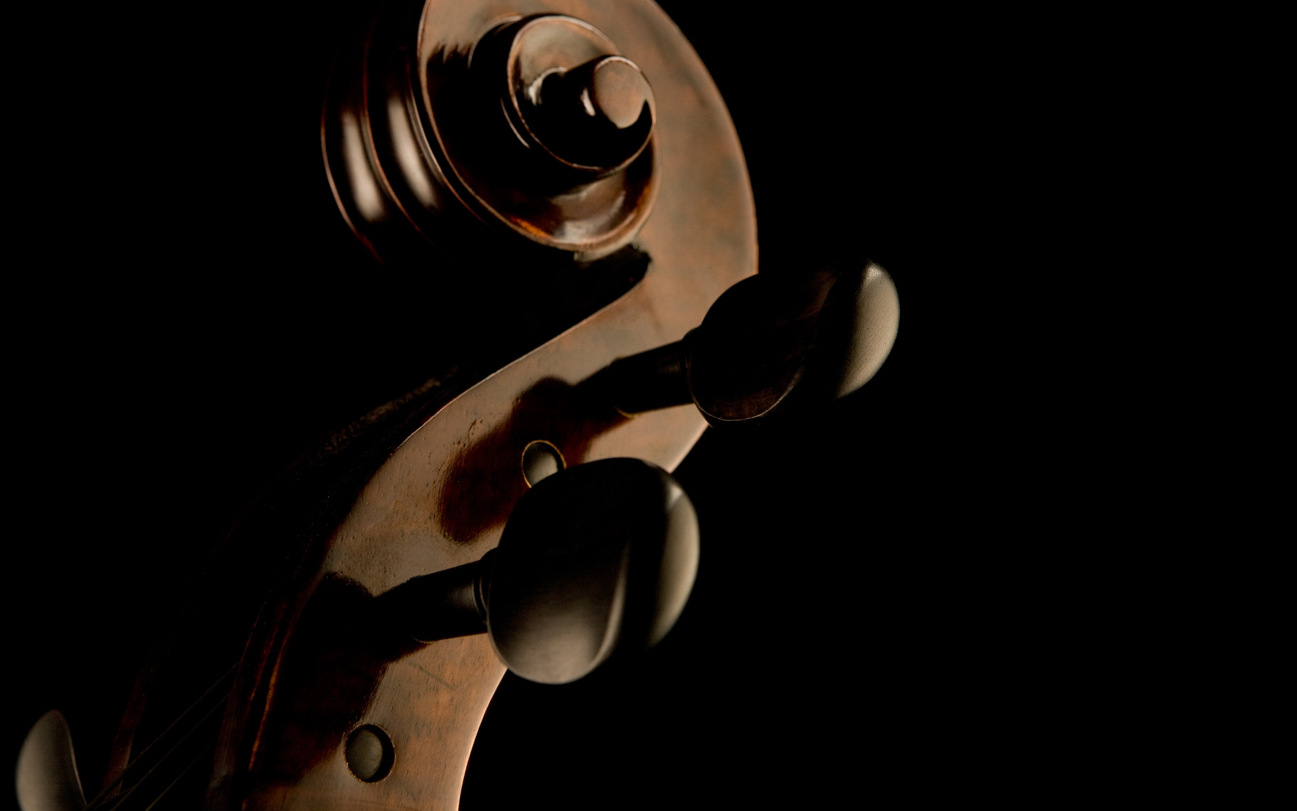 Violoncello: Pegbox, Curved Scroll, Nut And Pegs, Polished Wooden Perfection. 2560x1600 HD Wallpaper.