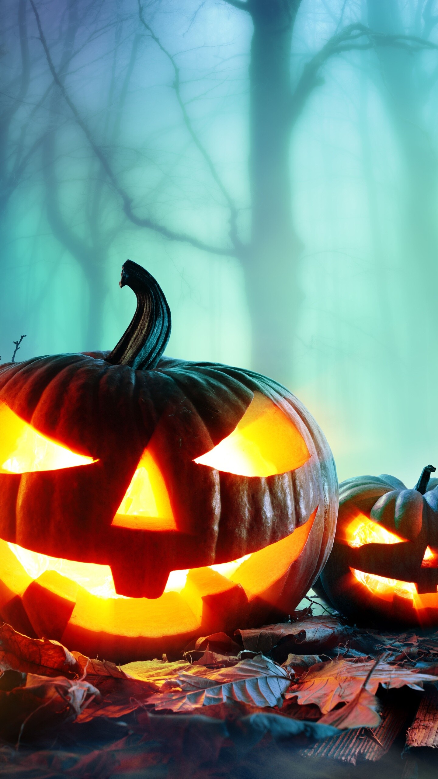 Halloween: Jack-o'-lantern, American holiday. 1440x2560 HD Background.