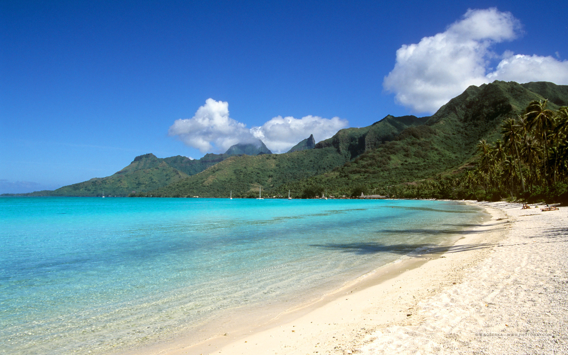 Papeete, Tropical paradise, Tahiti wallpaper, Exotic travel destination, 1920x1200 HD Desktop