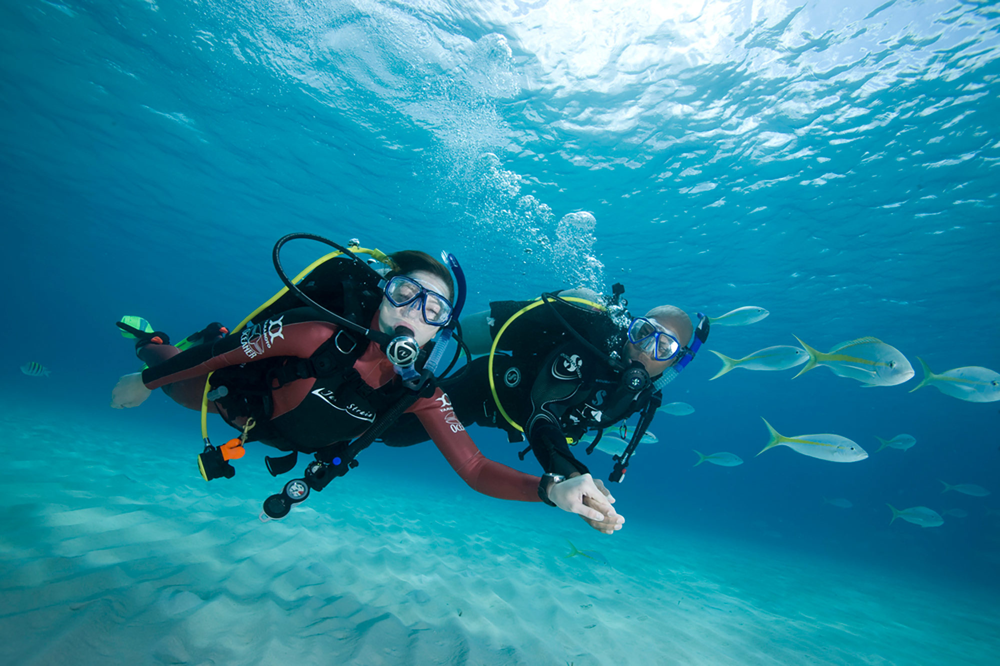 Scuba Diving: A couple uses open circuit apparatuses to swim underwater and explore marine biology. 2000x1340 HD Wallpaper.