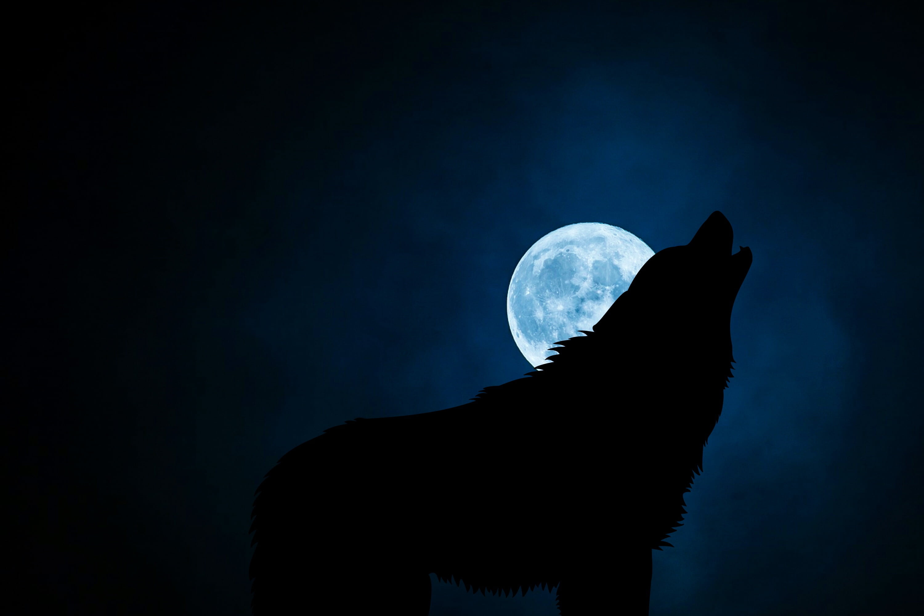 Howling Wolf, Full Moon, Digital Wallpaper, HD, 3000x2000 HD Desktop