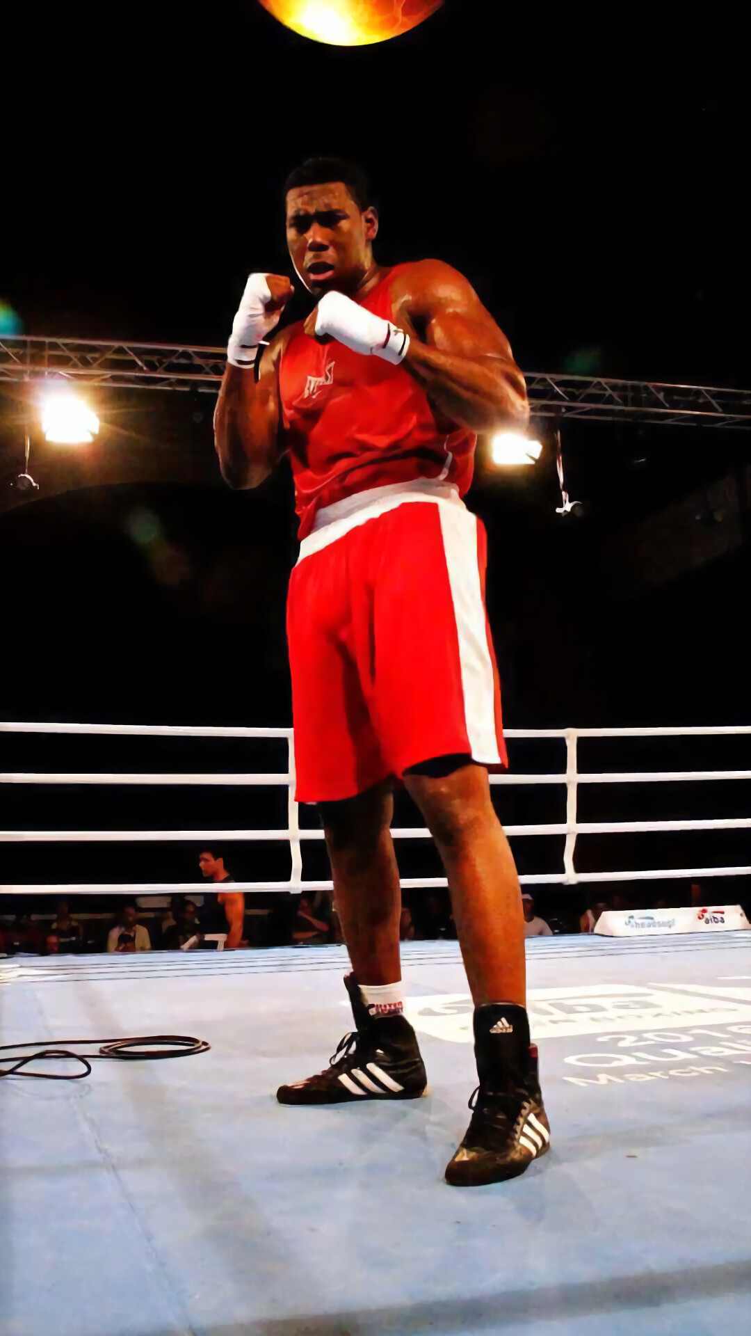 Nigel Paul, Rising boxing star, Graceful footwork, Intense determination, 1080x1920 Full HD Phone