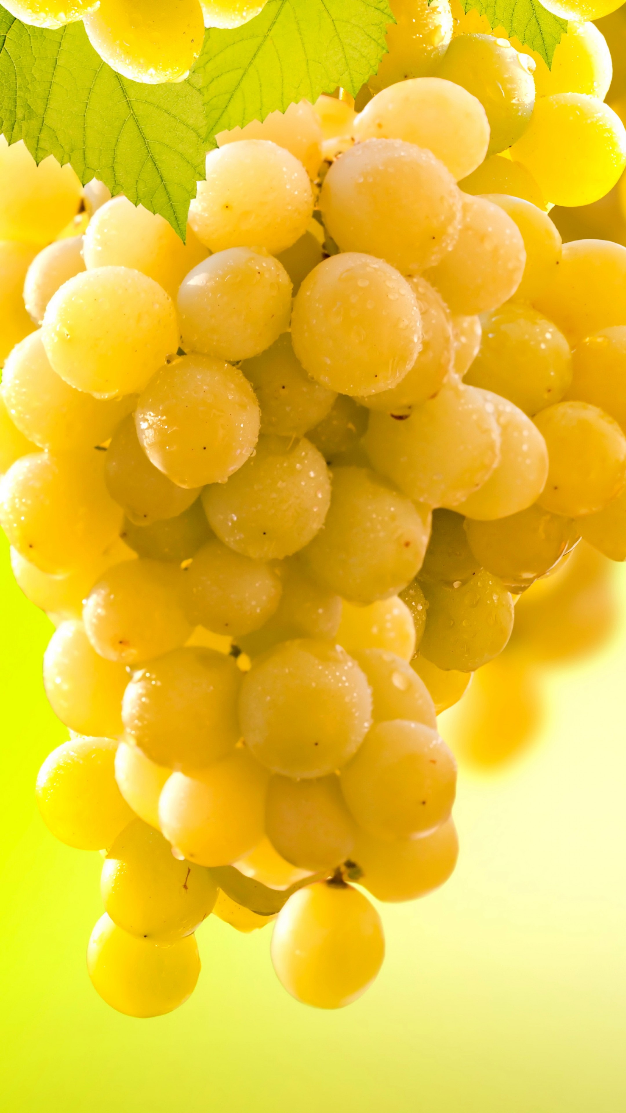 Grapes: A non-climacteric type of fruit. 2160x3840 4K Wallpaper.