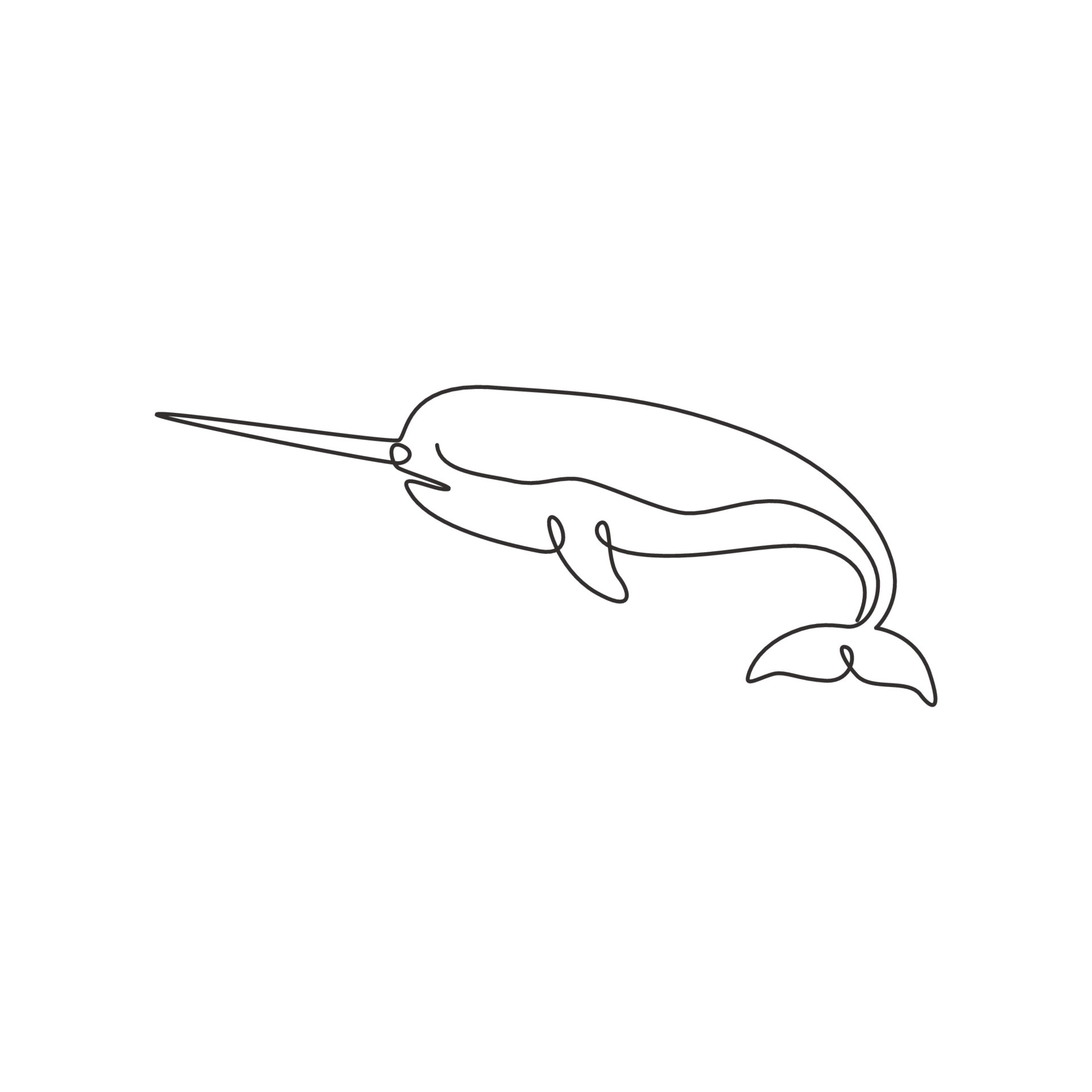 Narwhal, Continuous line drawing, Animal mascot concept, 1920x1920 HD Handy