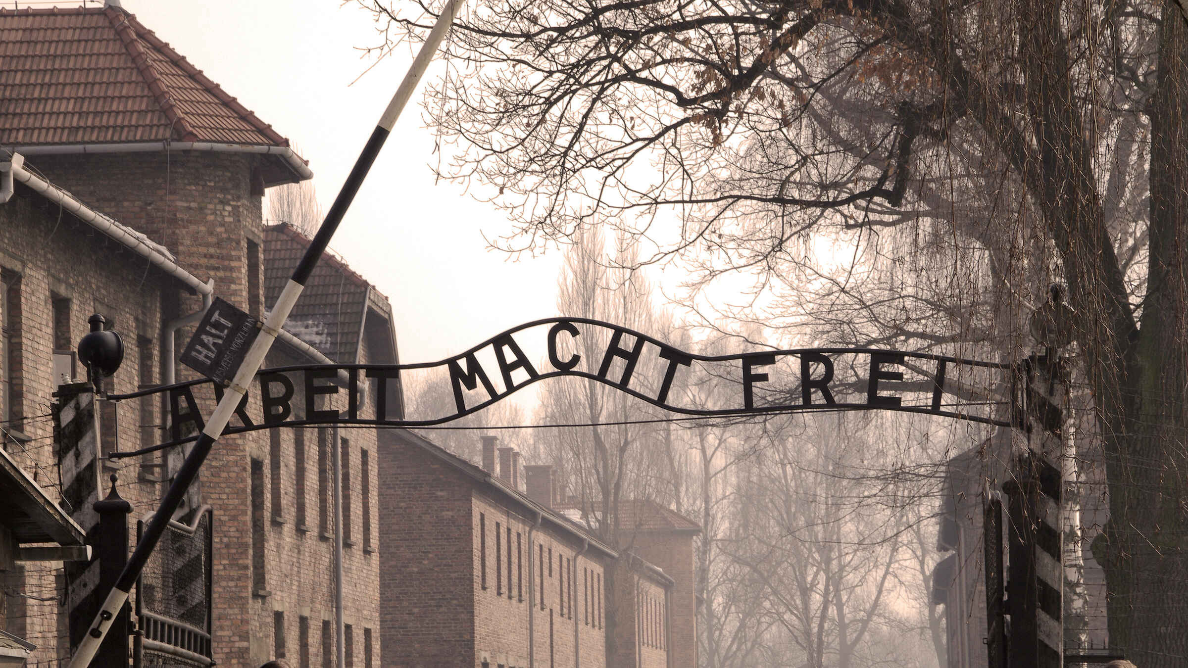 Auschwitz wallpapers, Unique perspectives, Historical significance, Powerful images, 2400x1350 HD Desktop