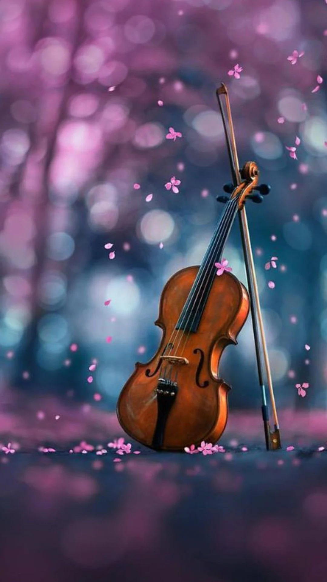Violoncello: Art, Fiddle And Flowers, Romantic Garden Music. 1080x1920 Full HD Background.