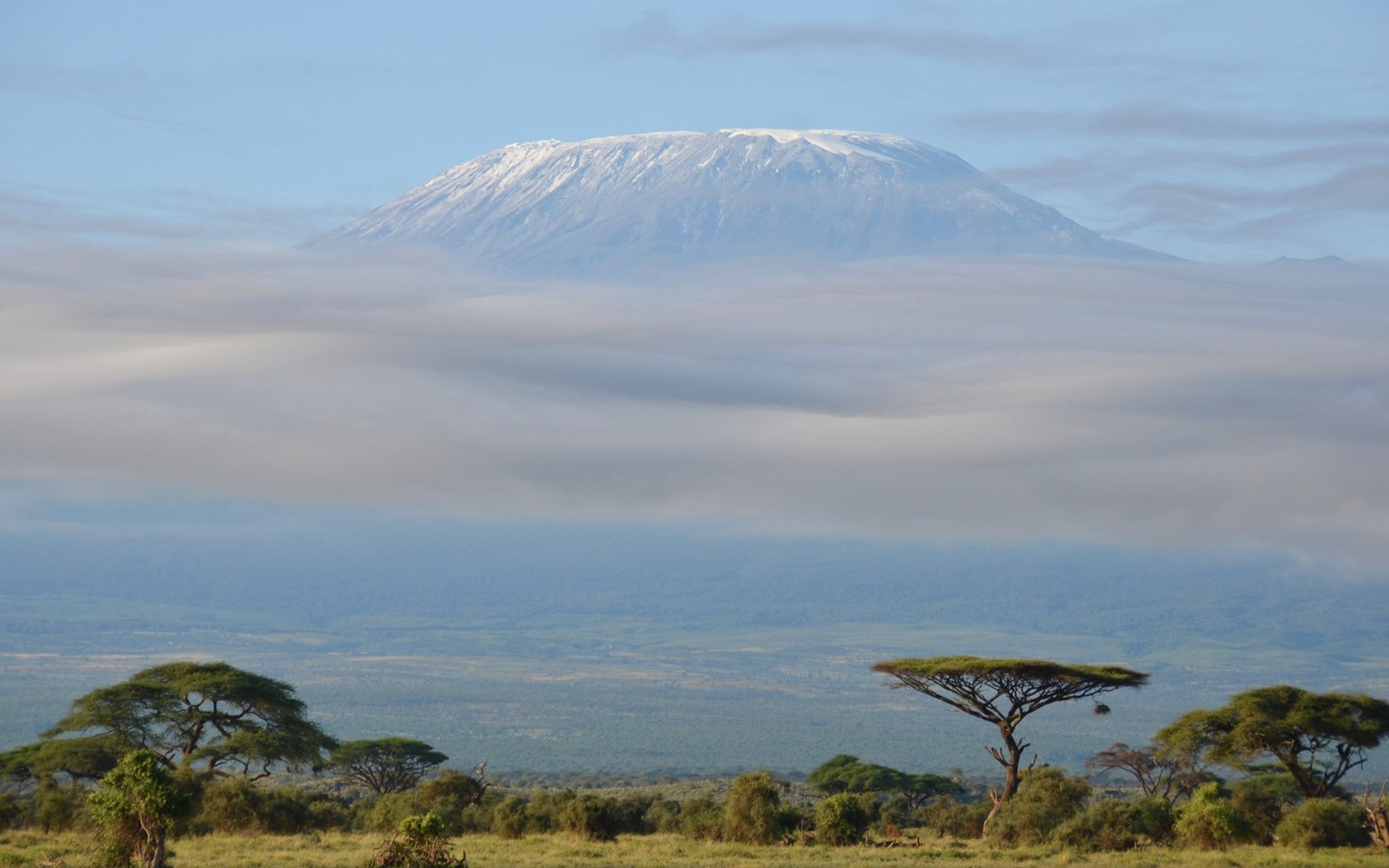 Kilimanjaro, Travels, HD wallpaper, Nature background, 1920x1200 HD Desktop