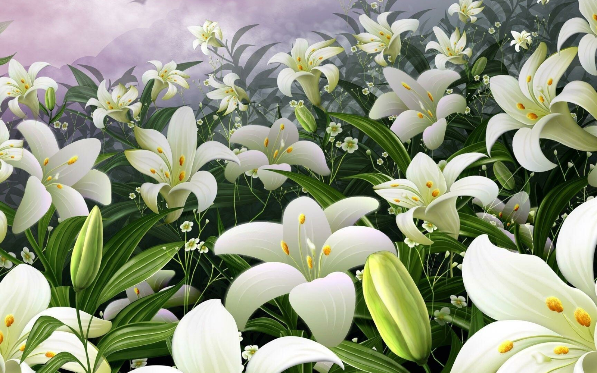 Lily: Lilies are usually raised from bulbs, but they can be grown from seed, Flowering plant. 1920x1200 HD Wallpaper.