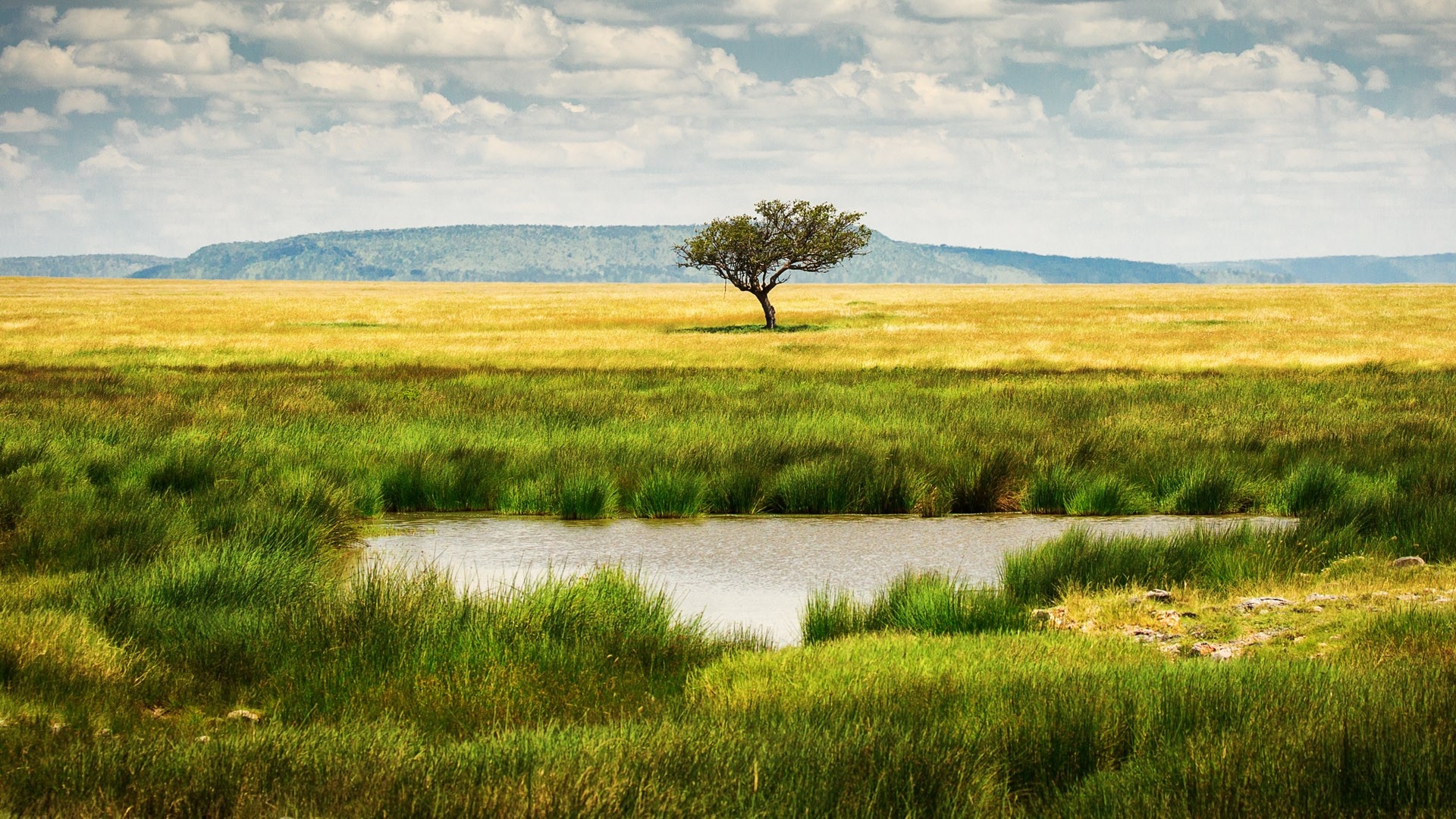 Die landschaftliche Schönheit des Serengeti-Sees, 1920x1080 Full HD Desktop