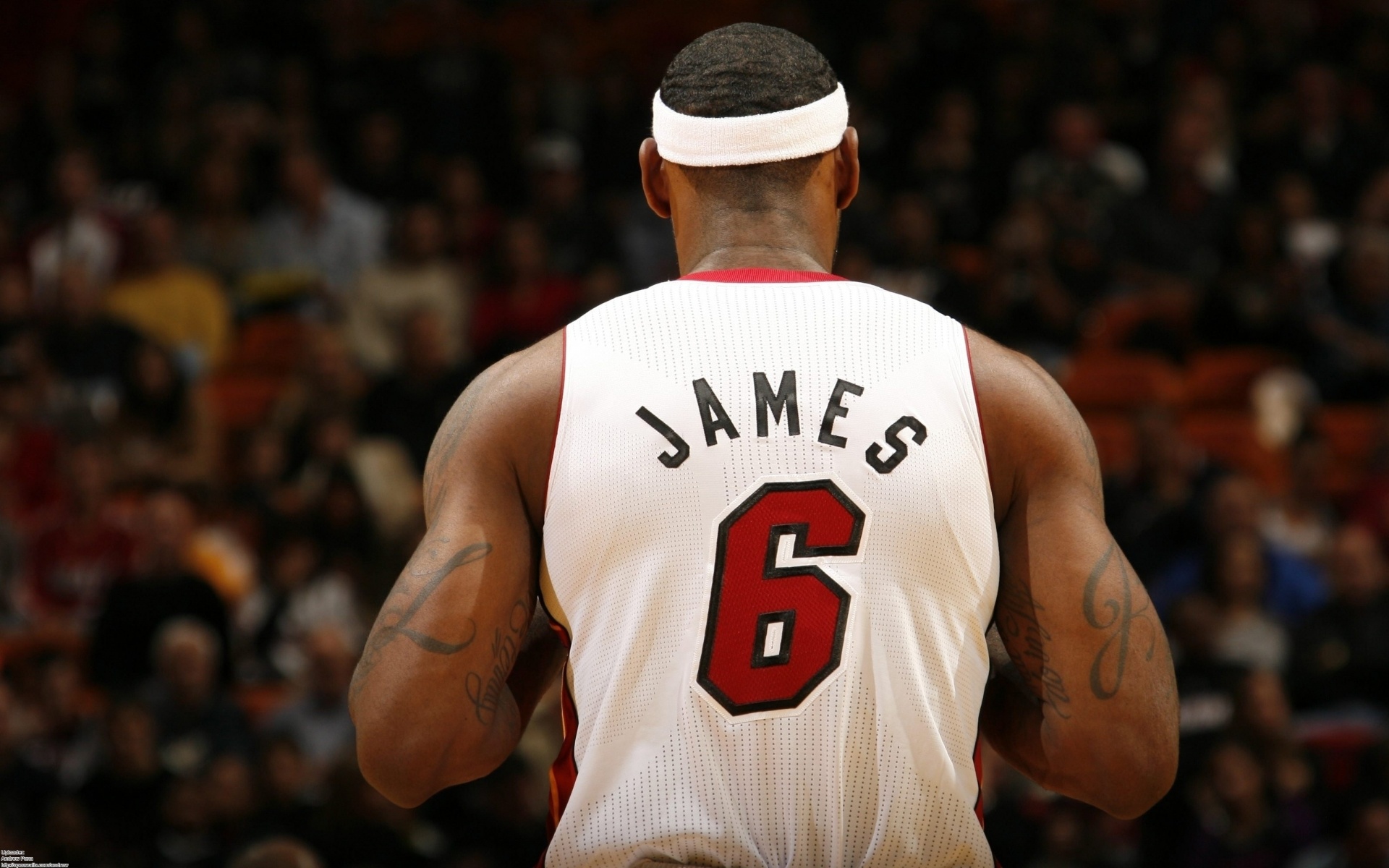 Miami Heat: LeBron James, Pat Riley has been the team's president since 1995. 1920x1200 HD Background.