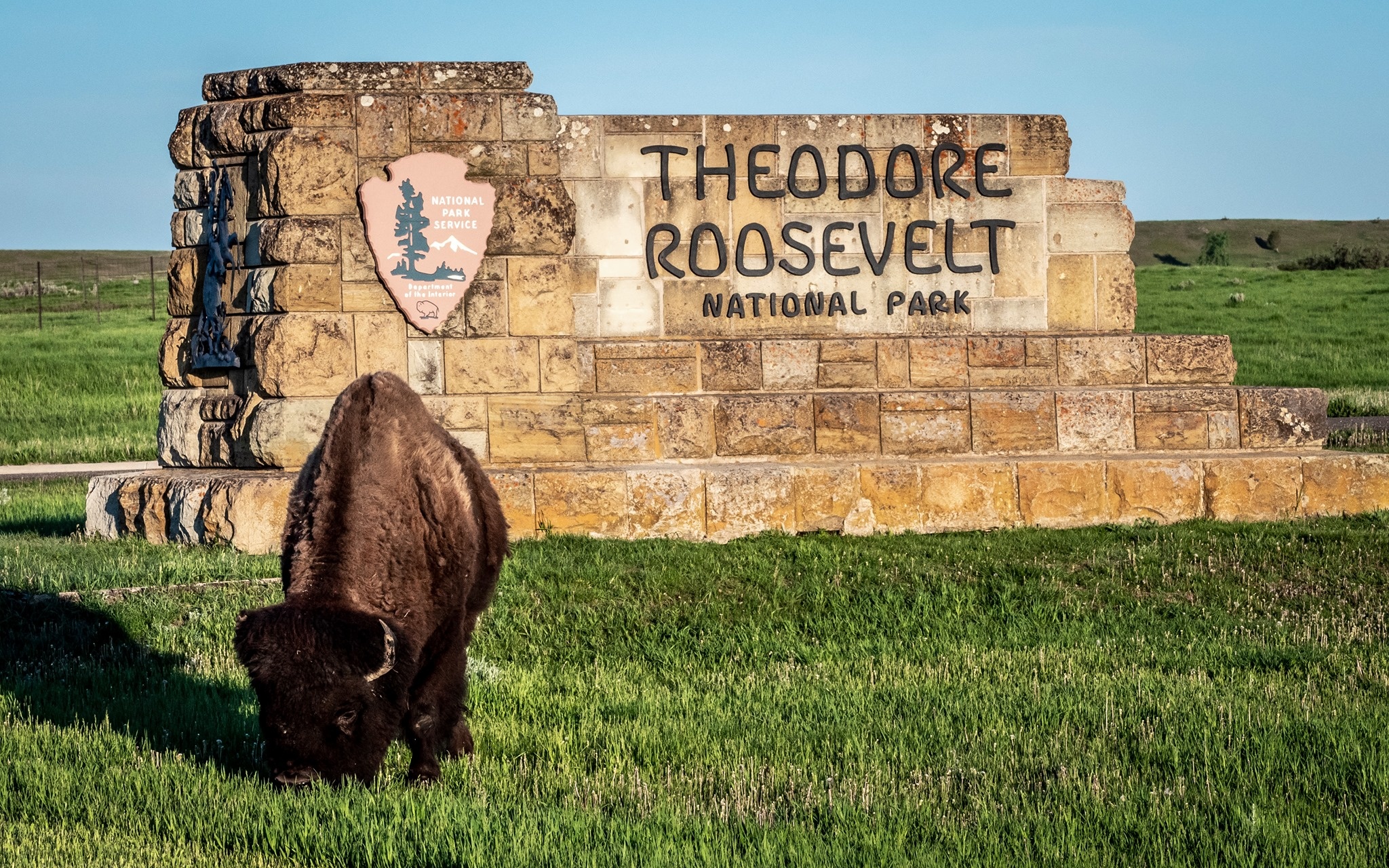 Pet-friendly travel, Theodore Roosevelt Park, Park pet policy, National park visit, 2050x1280 HD Desktop