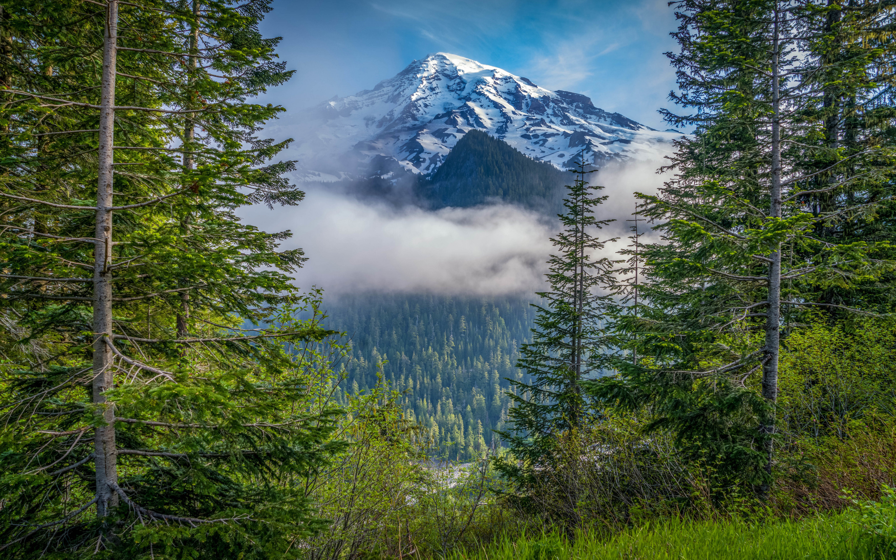 Mount Rainier morning mountain, Washington State landscapes, 2880x1800 HD Desktop