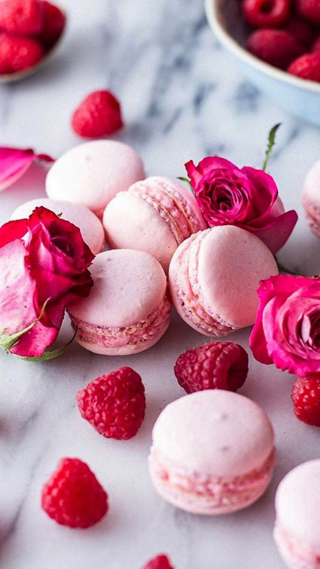 Pastel macaroons, Delicate and sweet, Blooming rose, Elegant and indulgent, 1080x1920 Full HD Phone