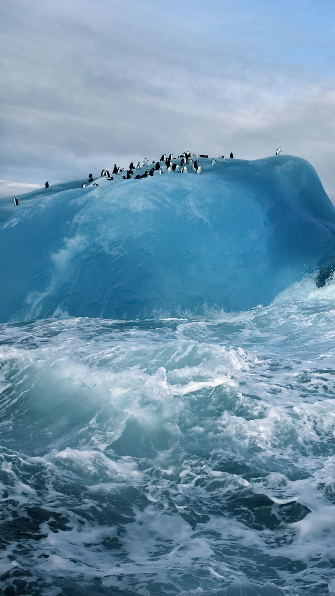 Antarctica penguins, Ice ocean, Sony Xperia Z1 ZL Z, HTC One, 1080x1920 Full HD Phone