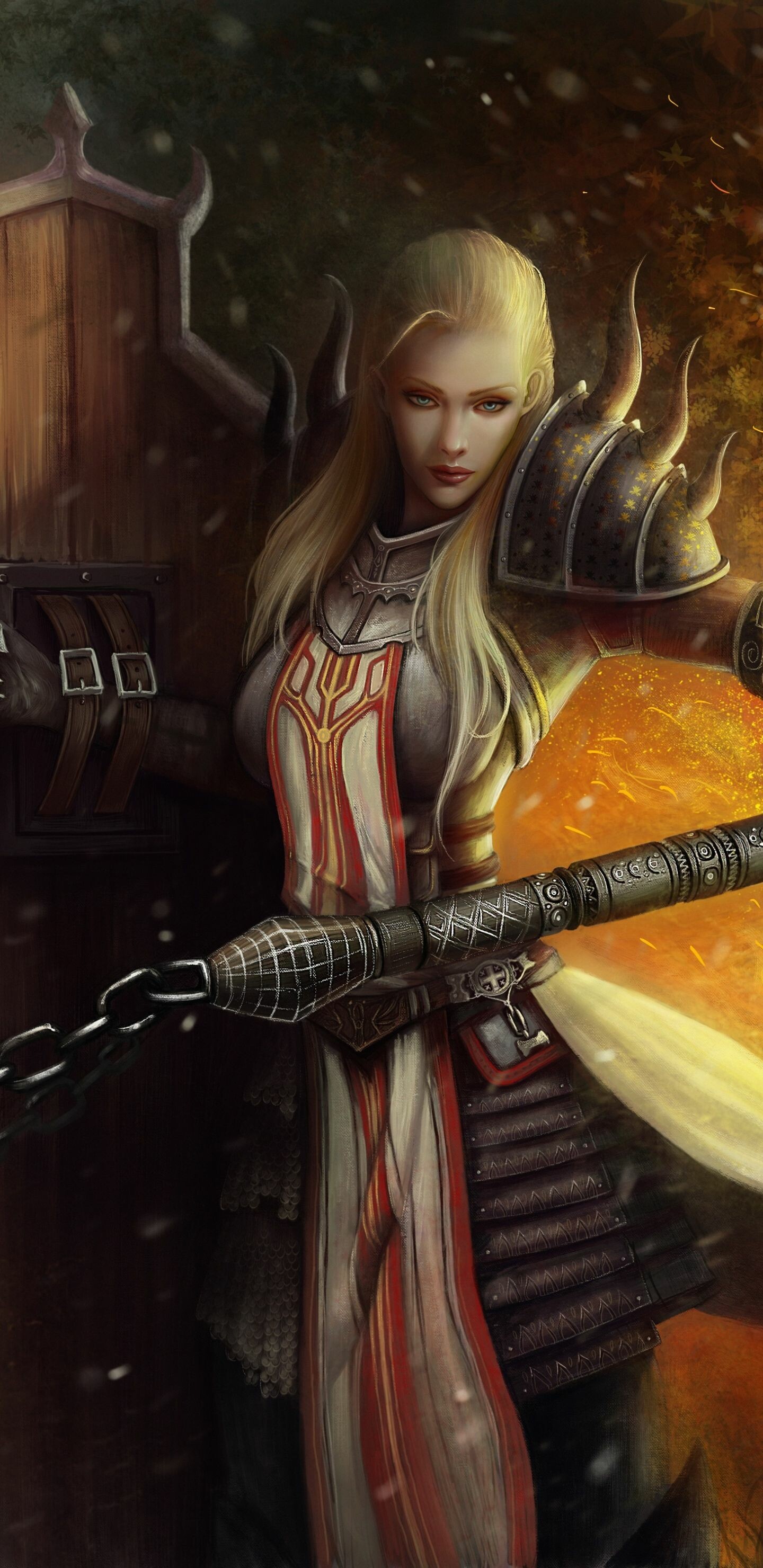 Diablo: Johanna, A female Crusader, Famous for her skillful shield work in combat. 1440x2960 HD Background.