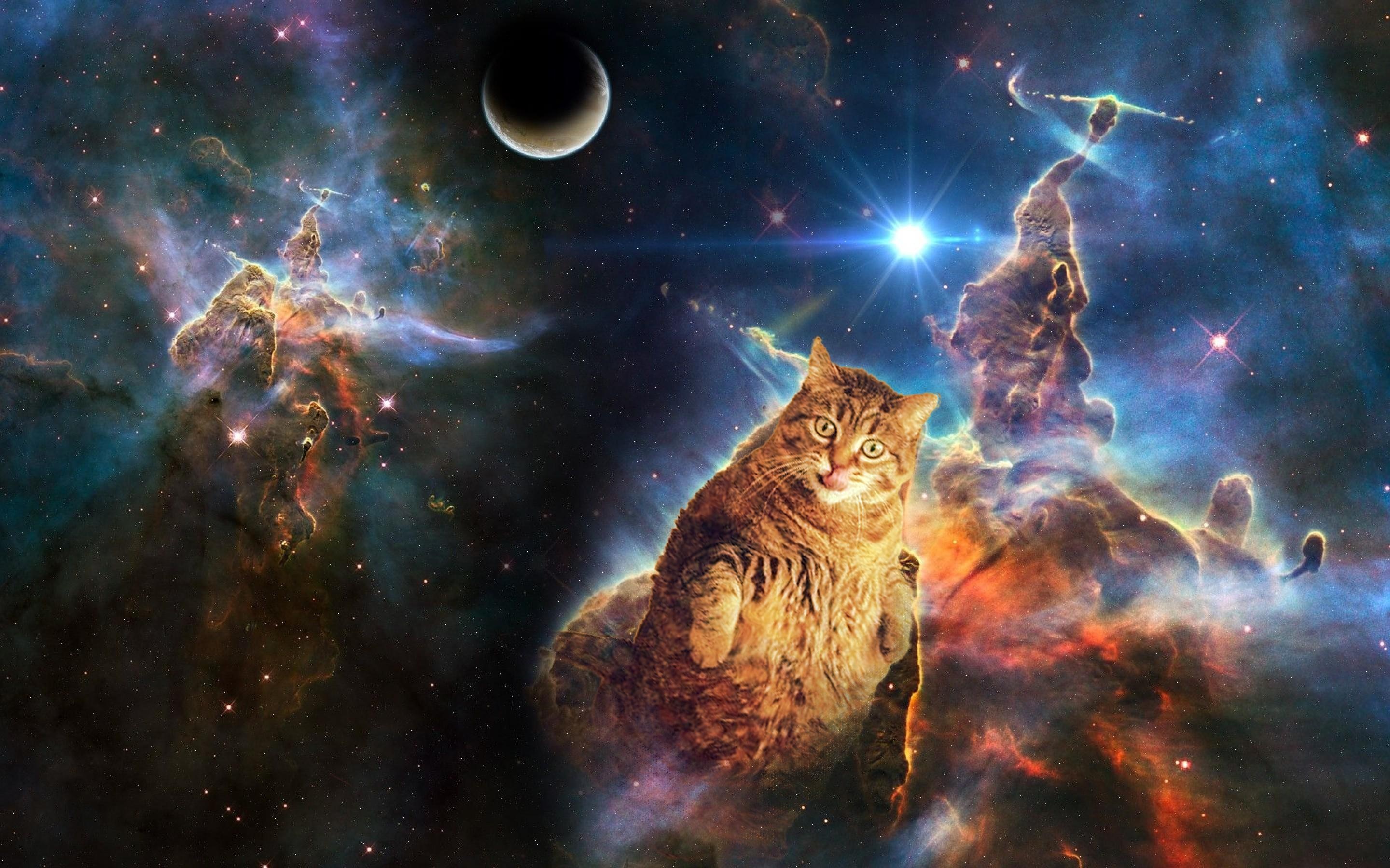 Galaxy Cat, Space explorer, Cosmic meow, Galactic voyage, 2880x1800 HD Desktop