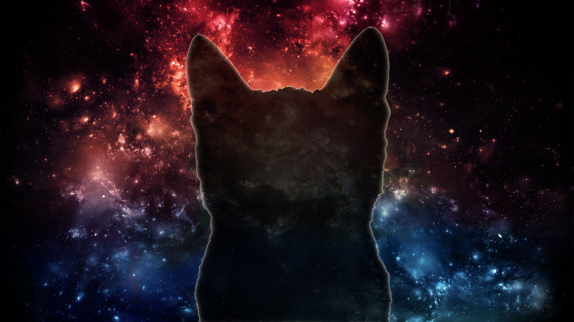 Galaxy Cat, Free space wallpaper, Celestial cat, Captivating view, 1920x1080 Full HD Desktop