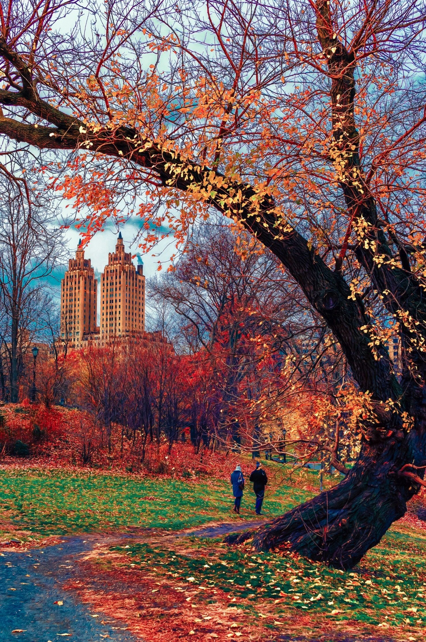 Autumn in New York, Beautiful wallpaper, Serene image, Breathtaking scenery, 1480x2230 HD Handy