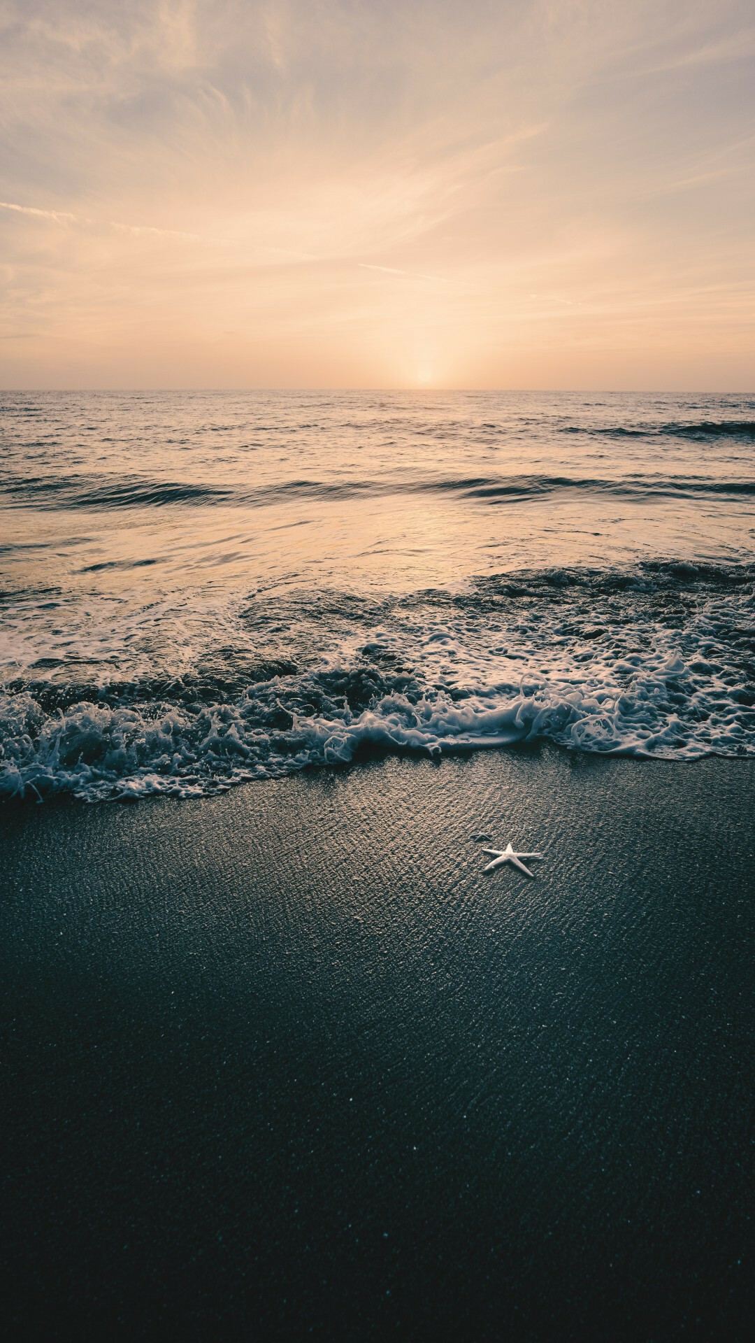 Starfish: Download  Seascape, Beach, Starfish, Waves, Twilight Wallpapers  for iPhone 8, iPhone 7 Plus, iPhone 6+, Sony Xperia Z, HTC One. 1080x1920 Full HD Background.