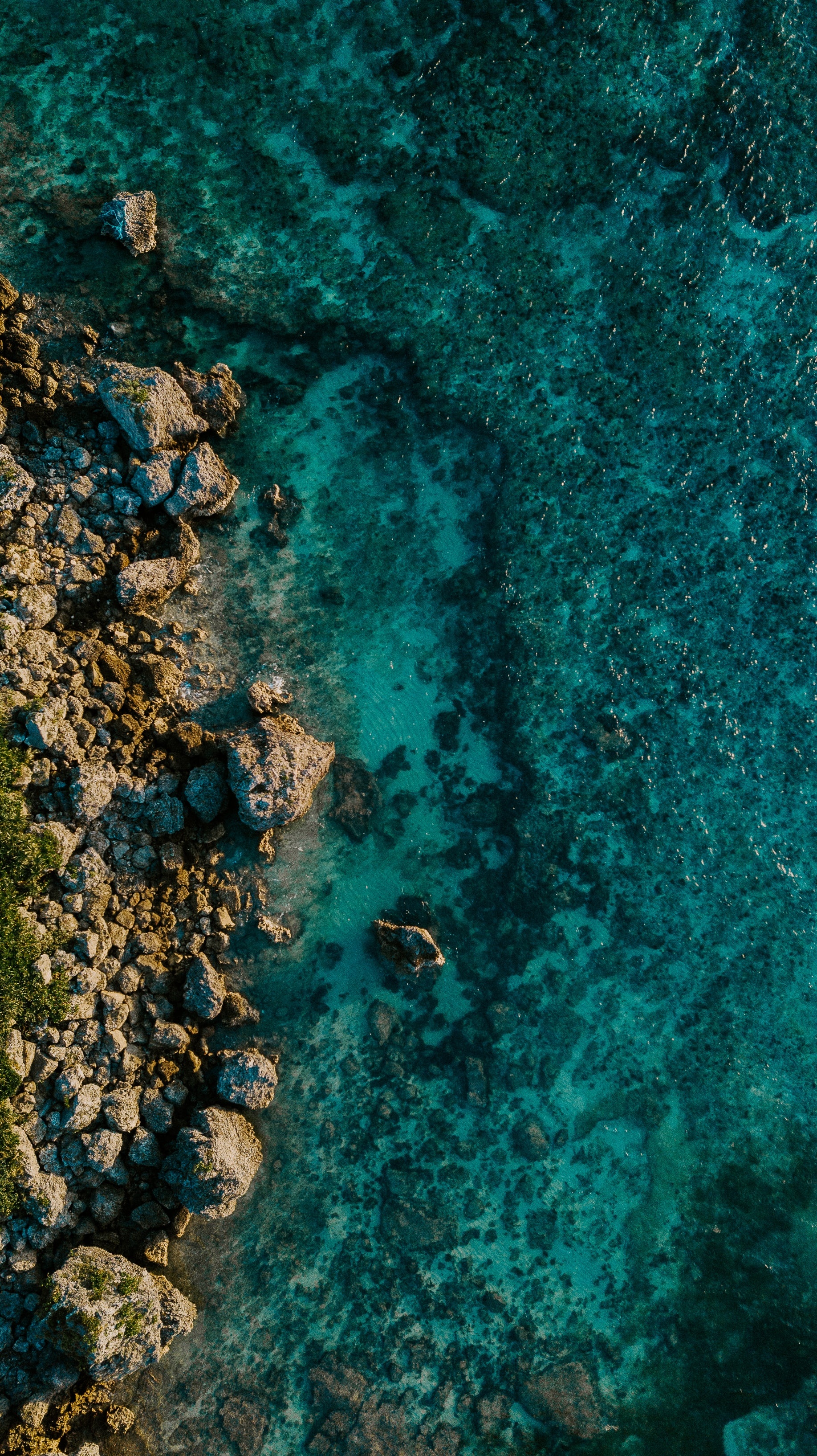 Coral Sea, Travels, Download, HD wallpapers, 1840x3270 HD Phone