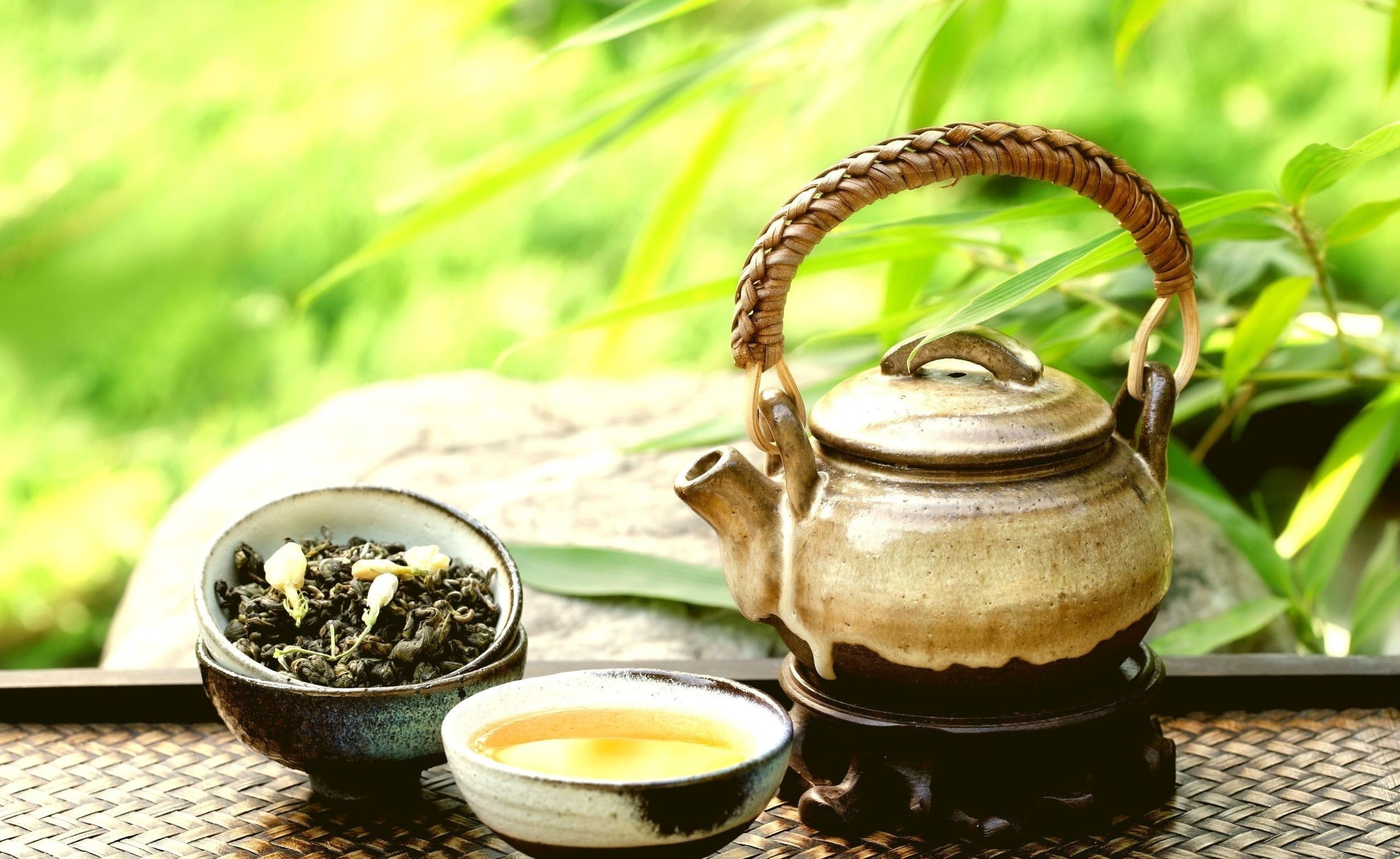 Brown ceramic teapot, Nature-inspired photography, Tea bowls, Plants, 2560x1580 HD Desktop