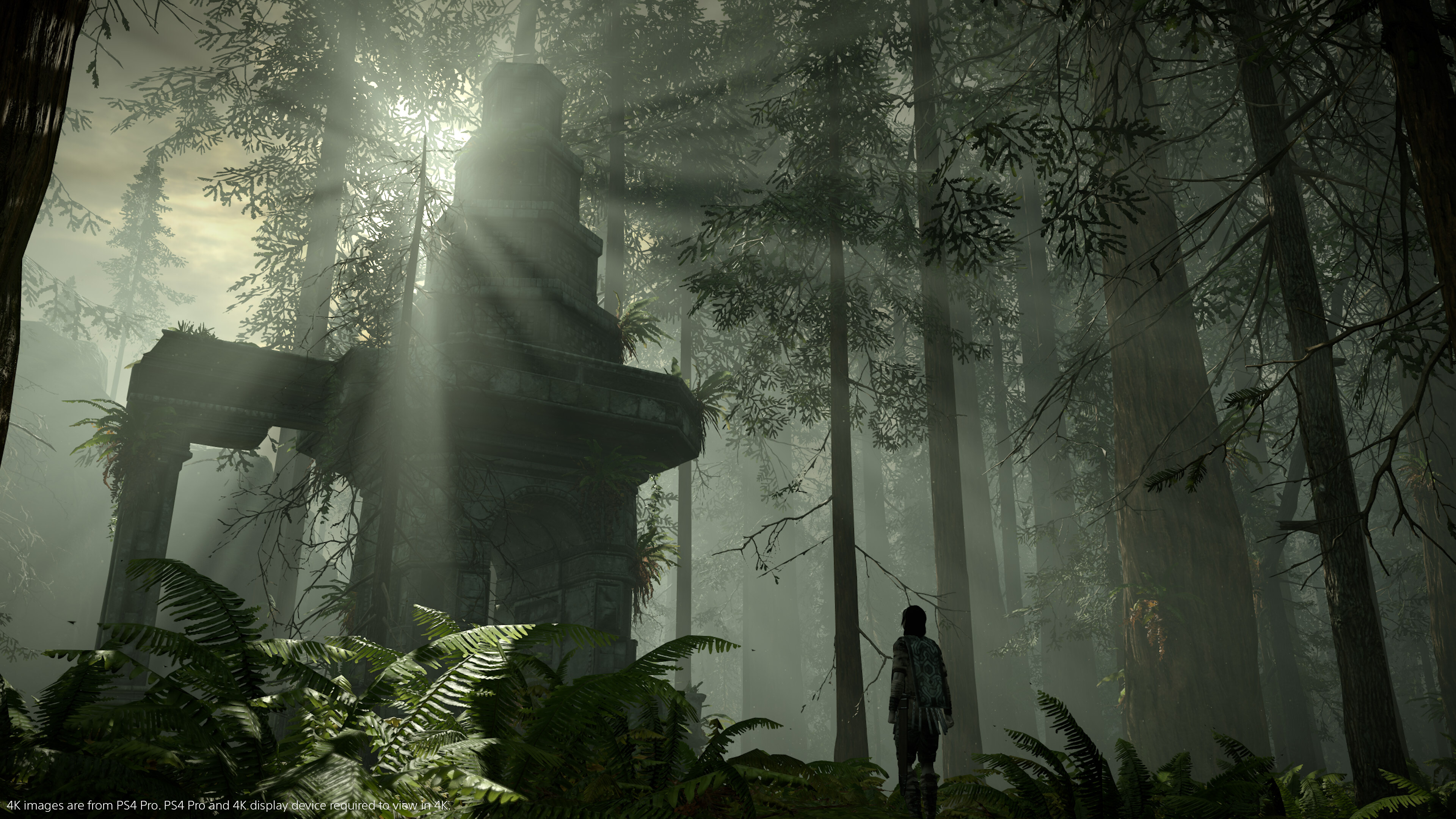 Shadow of the Colossus: The game was directed by Fumito Ueda and developed at Sony Computer Entertainment. 3840x2160 4K Wallpaper.
