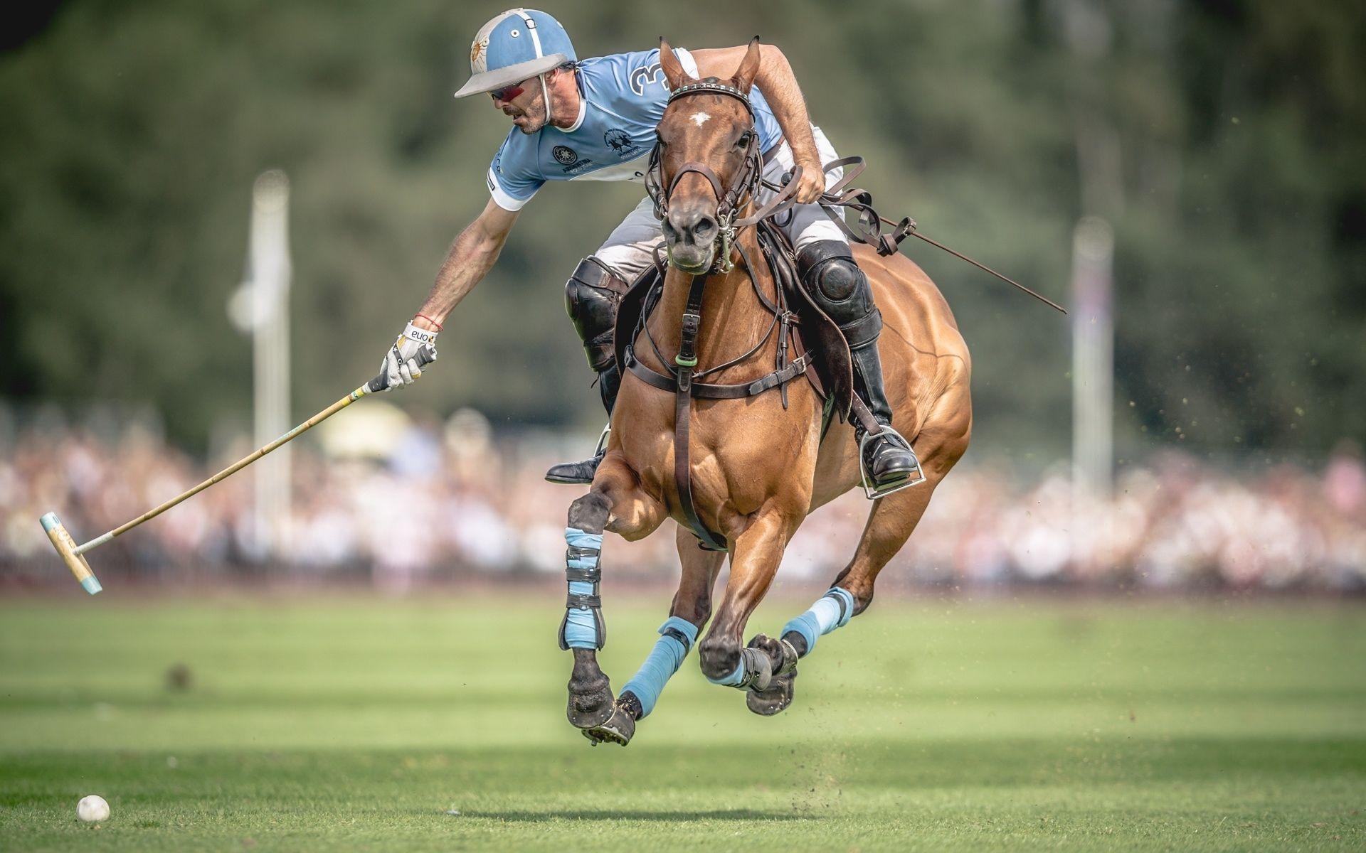 Horse Polo: A professional equestrian player tries to hit a small ball with a wooden mallet. 1920x1200 HD Background.