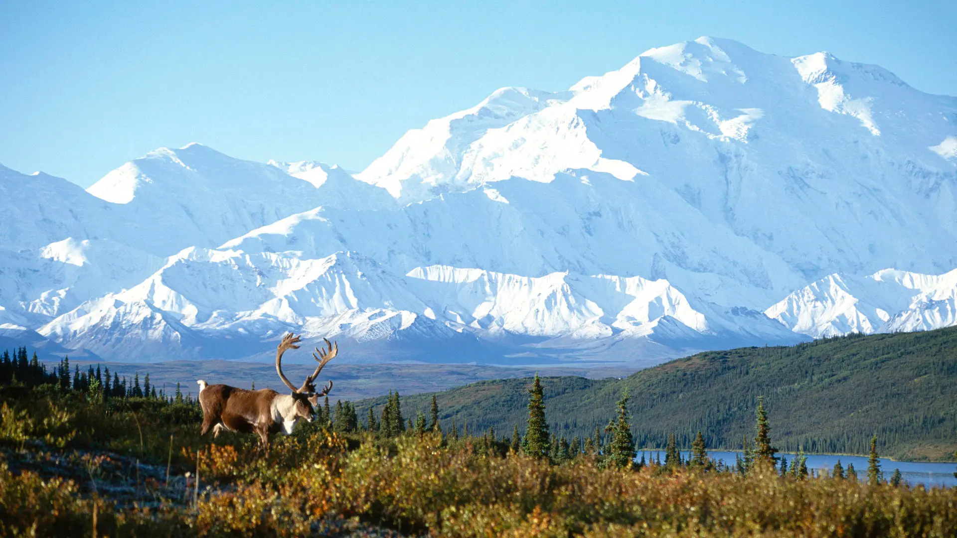 Free Alaska wallpaper, Grant Lake Corporation, beautiful landscapes, Alaska travels, 1920x1080 Full HD Desktop