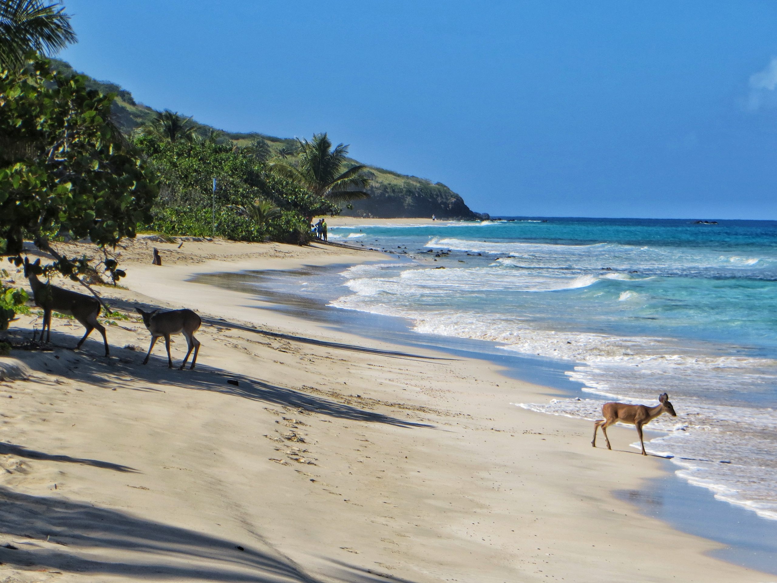 Culebra real estate, Beaches and more, Sunrise realty, 2560x1920 HD Desktop