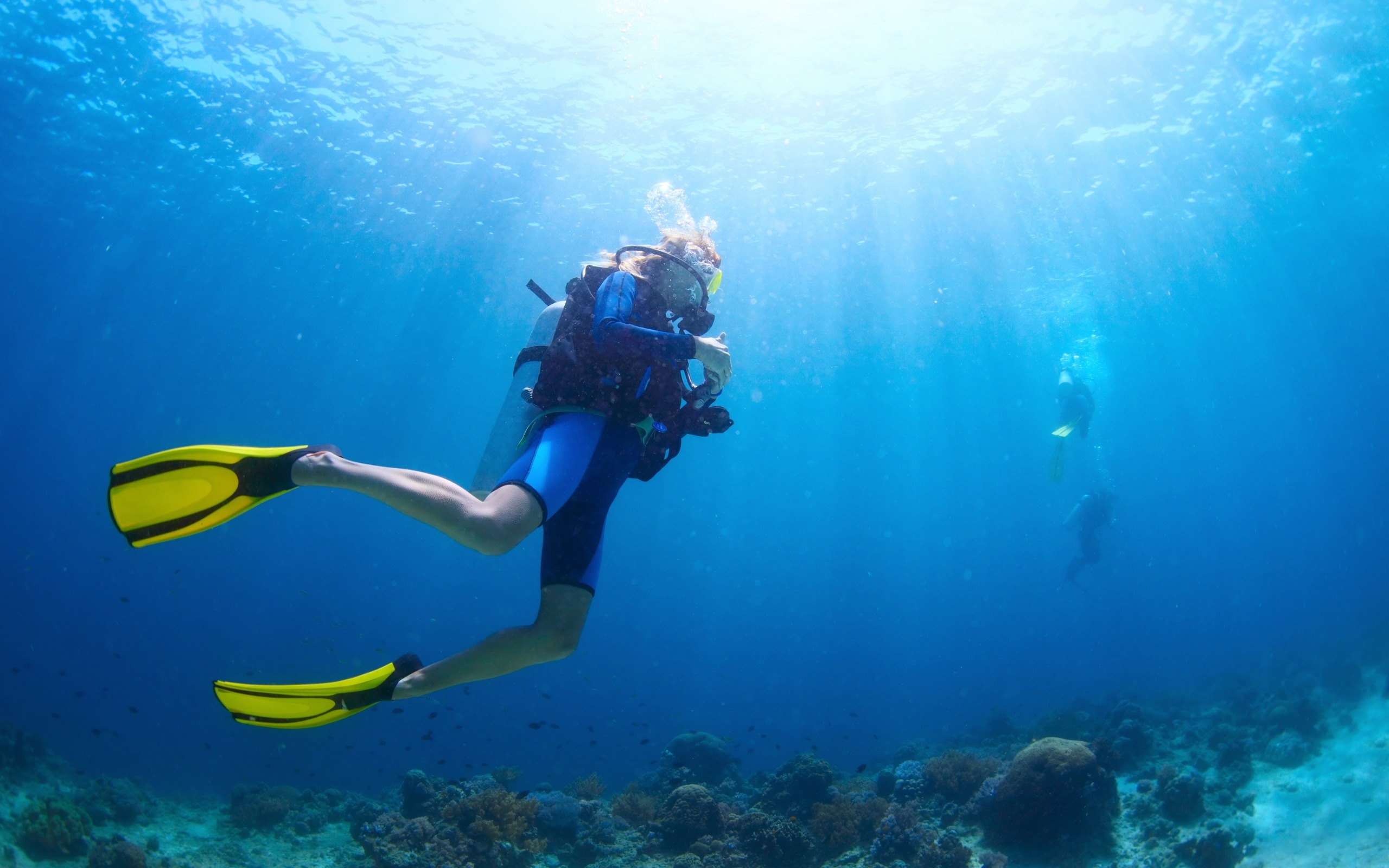 Underwater world wallpapers, Oceanic wonders, Scuba diving beauty, High-quality pictures, 2560x1600 HD Desktop