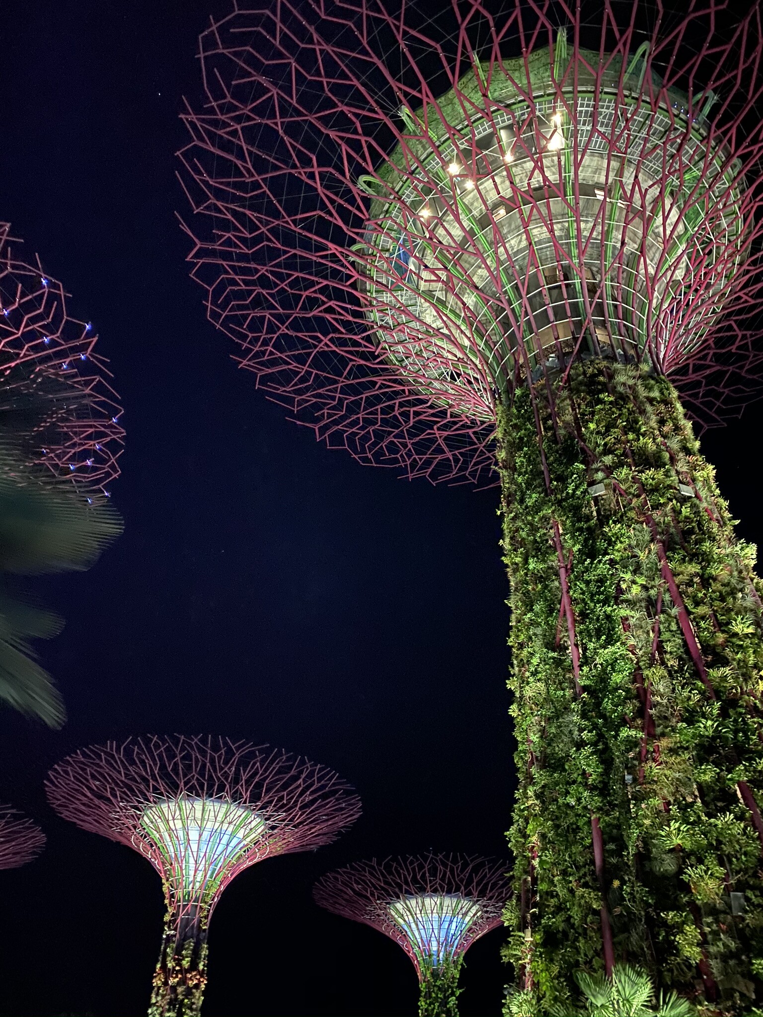 Singapore: Supertrees of Gardens by the Bay, Spectacular vertical gardens. 1540x2050 HD Wallpaper.