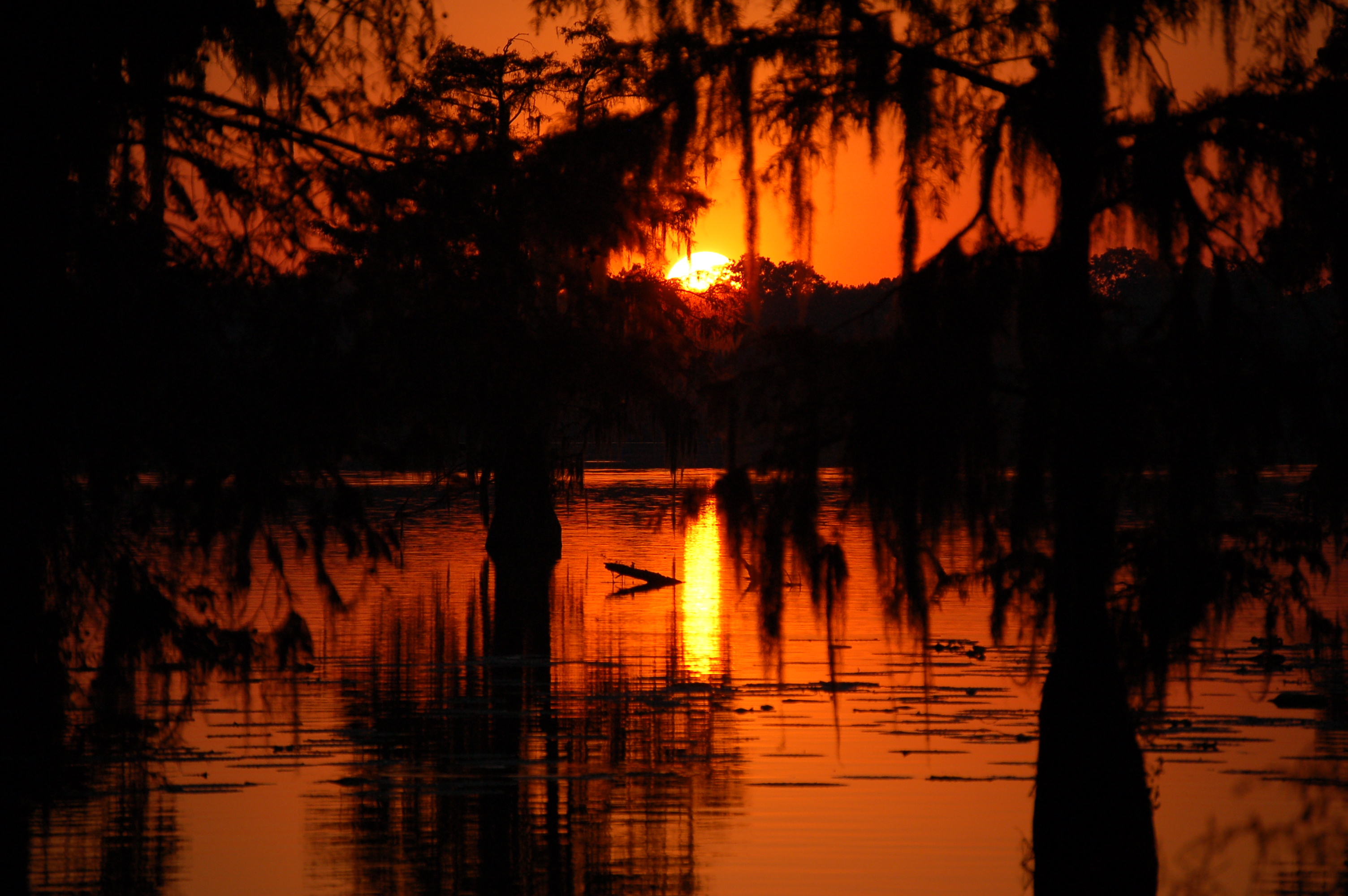Swamp Sunset, Cajun Country, Wallpaper, Scene, 3010x2000 HD Desktop