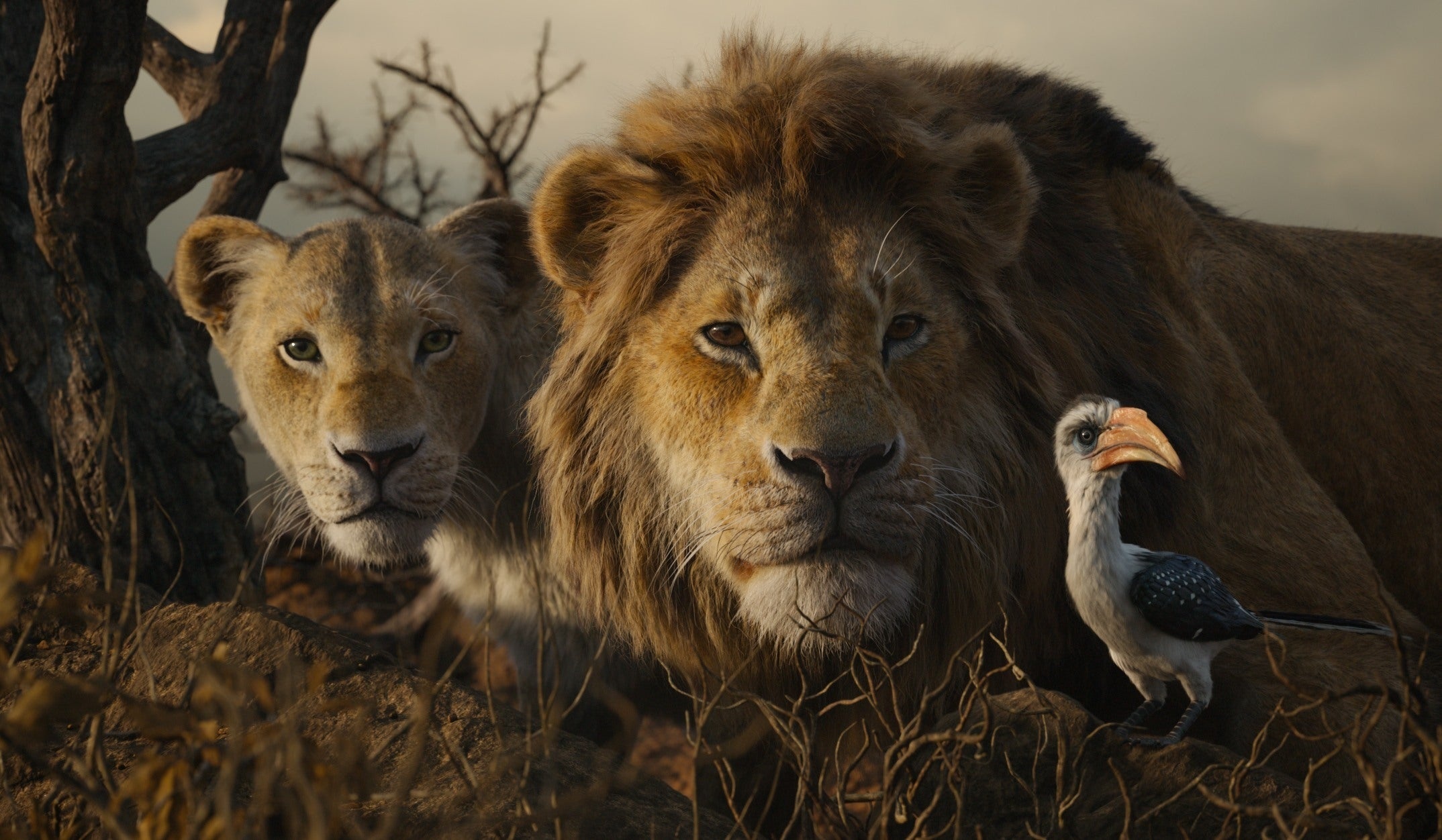 The Lion King 2019 movie, Behind-the-scenes facts, Stunning animation, Immersive experience, 2150x1260 HD Desktop