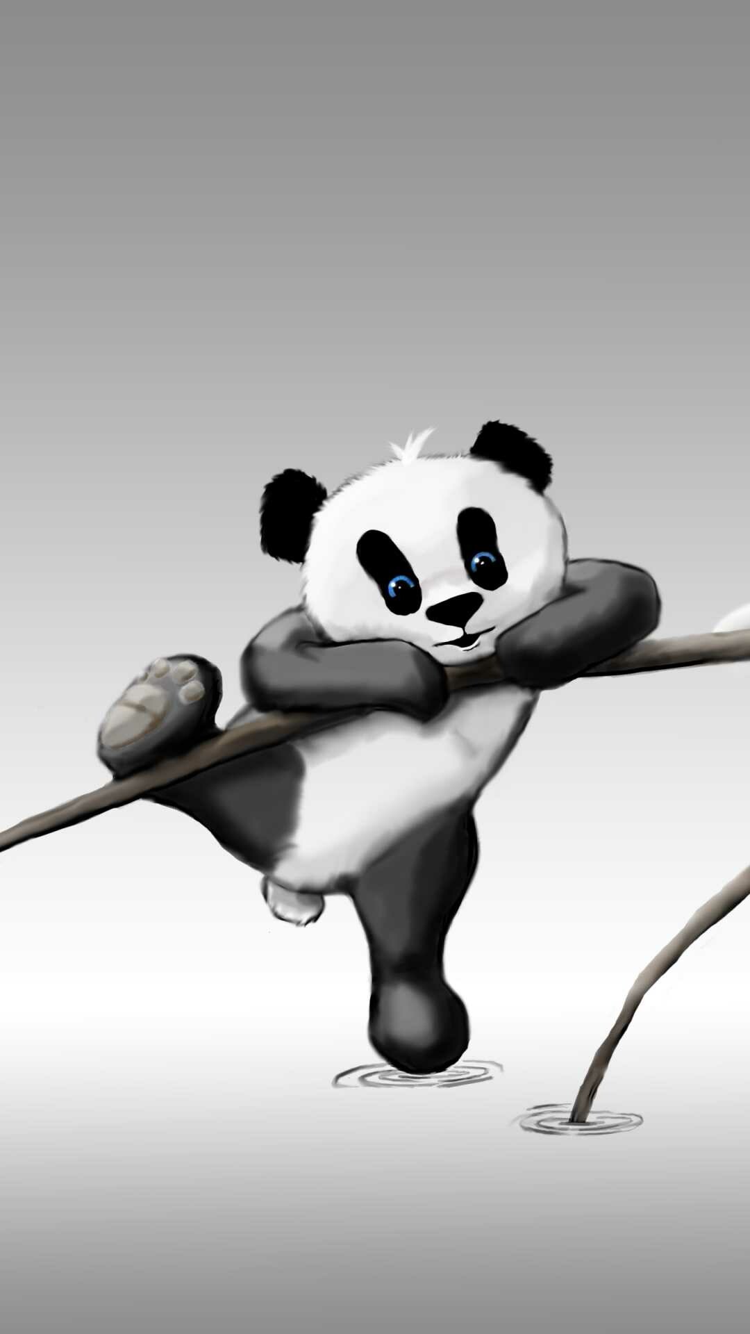 Panda: Bearlike mammal, The Order Carnivora from the Class Mammalia. 1080x1920 Full HD Background.