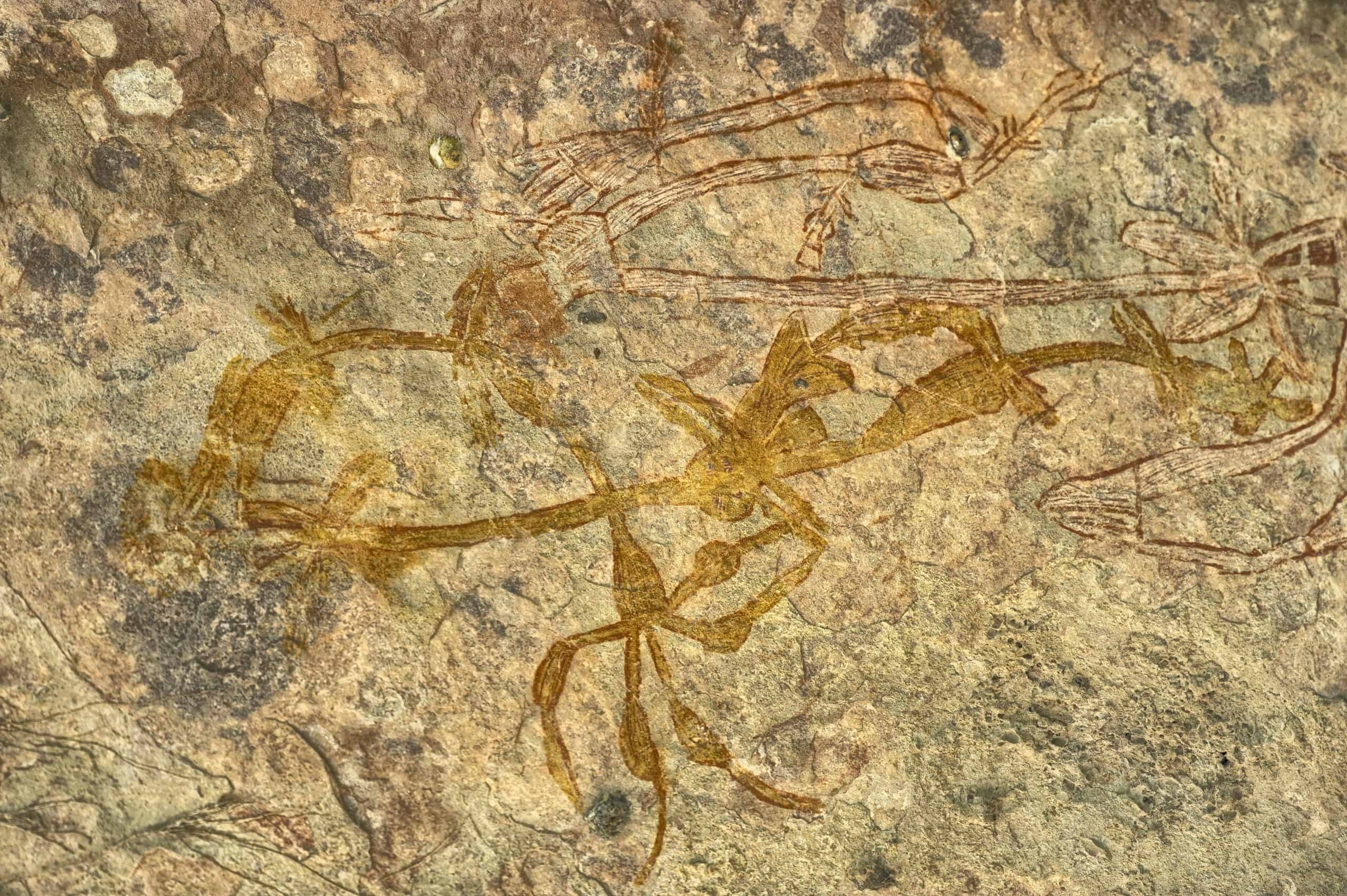 Kakadu National Park, Aboriginal culture, Northern territory, Travel, 2560x1710 HD Desktop