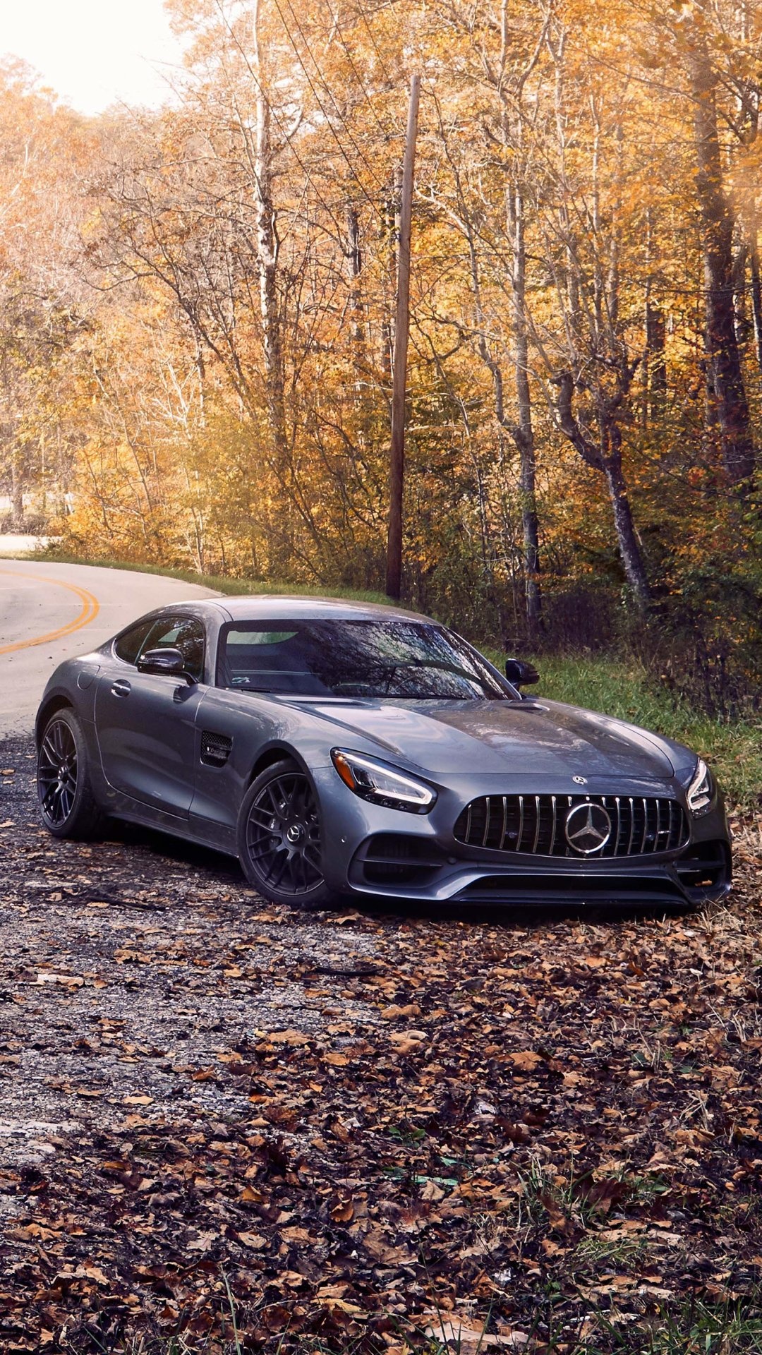 Mercedes-Benz AMG GT, Automotive brilliance, Captivating performance, Exquisite design, 1080x1920 Full HD Phone