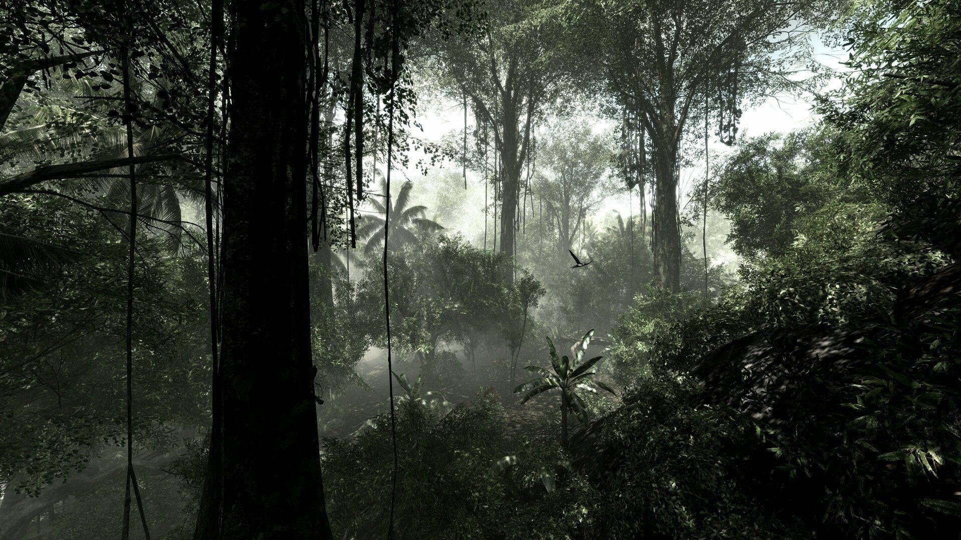 Rainforest: The Earth’s oldest living ecosystems, Ecosphere. 1920x1080 Full HD Background.