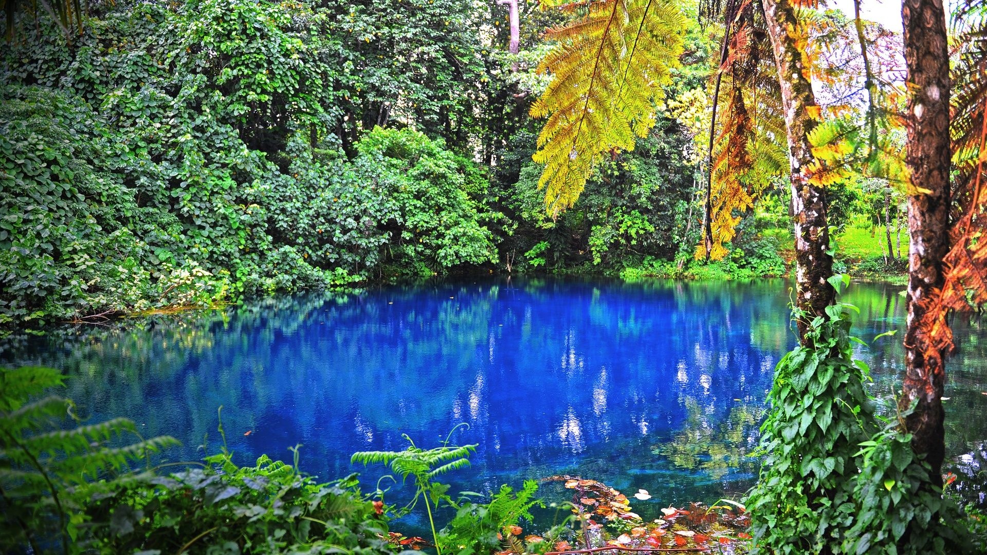 Nanda Blue Hole, Jackie's Blue Hole, Espiritu Santo, Vanuatu nature, 1920x1080 Full HD Desktop