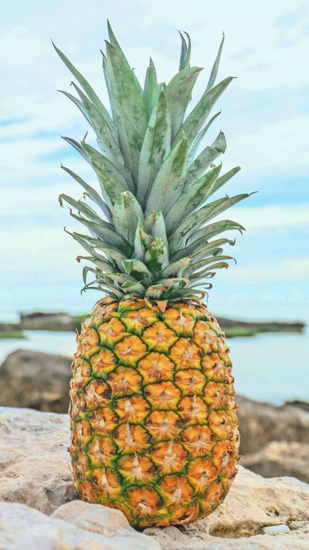 Pineapple: The only known carriers of bromelain, an enzyme that breaks down protein. 1080x1920 Full HD Background.