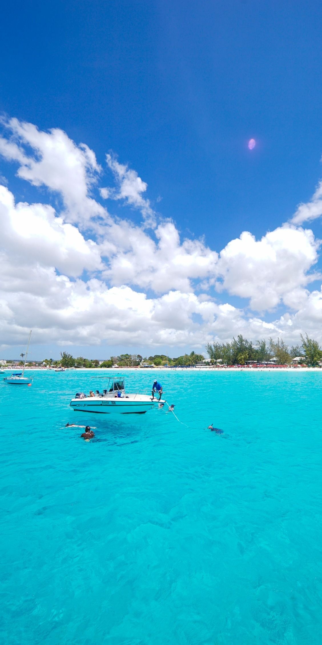Bridgetown highlights, Barbados wonders, Underwater beauty, Caribbean travel, 1130x2260 HD Handy