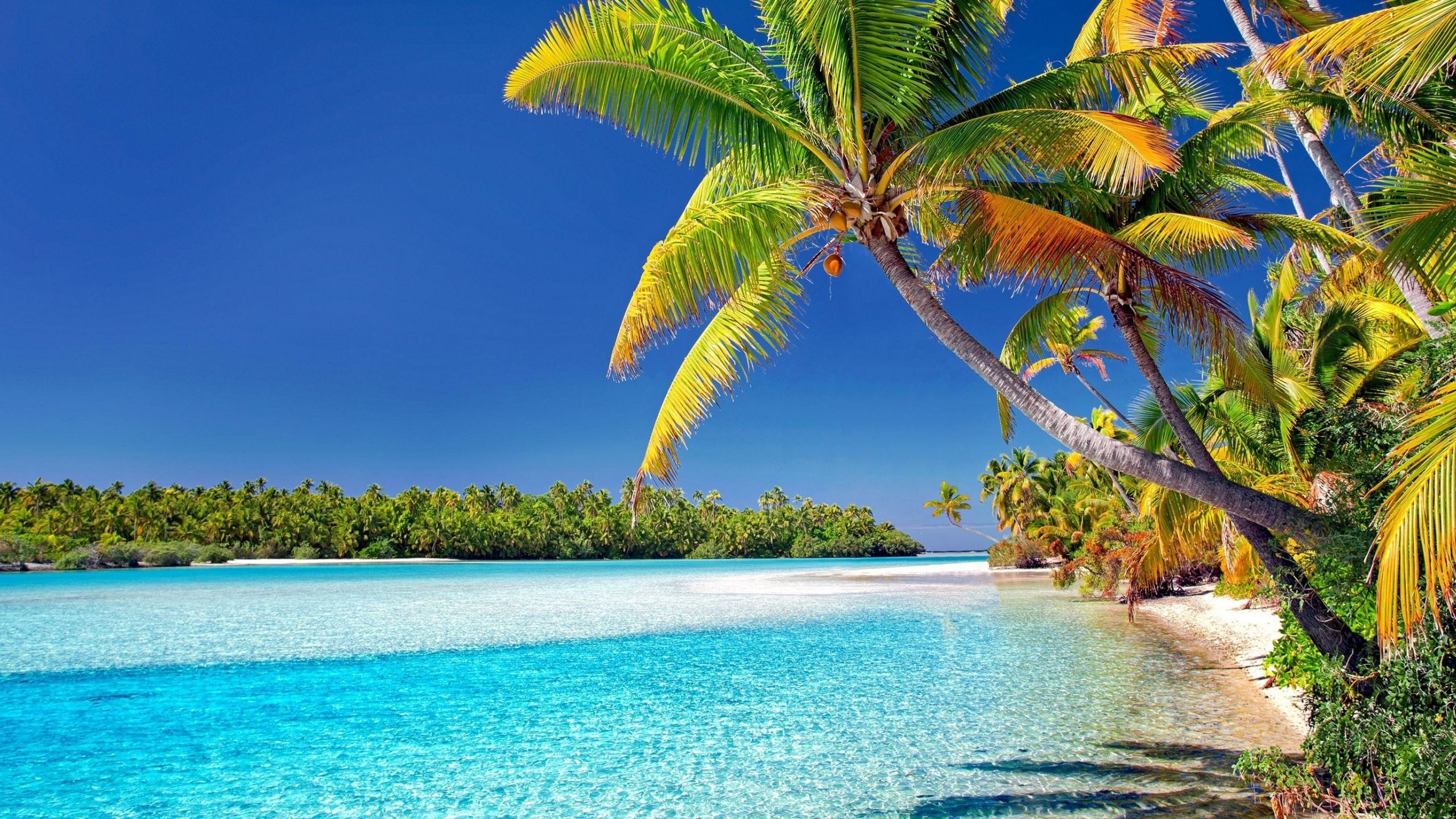 Cook Islands, Stunning wallpapers, Tropical paradise, Breathtaking views, 2560x1440 HD Desktop