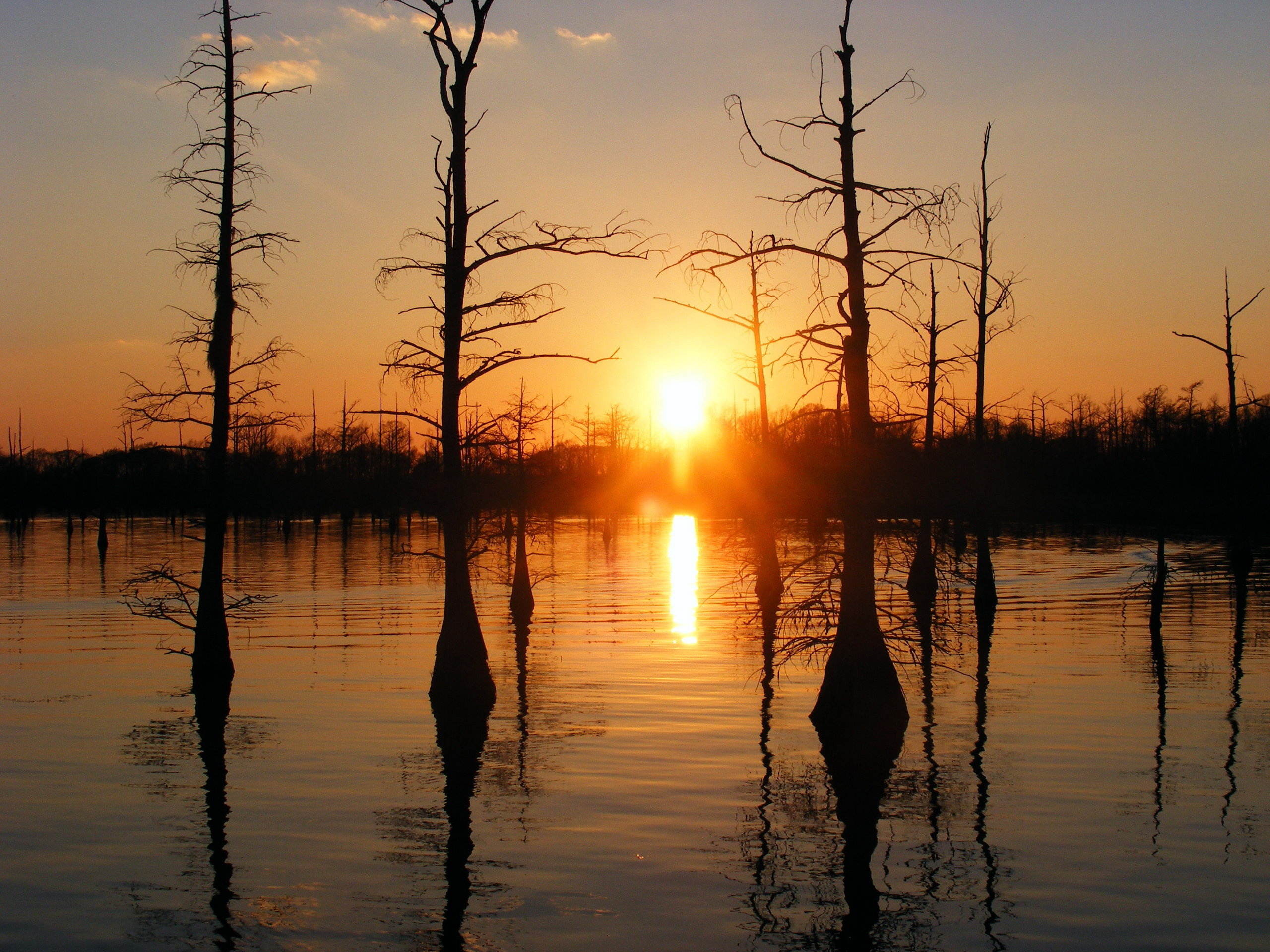 Louisiana travels, Bayou wallpapers, Swamps and marshes, Cajun culture, 2560x1920 HD Desktop
