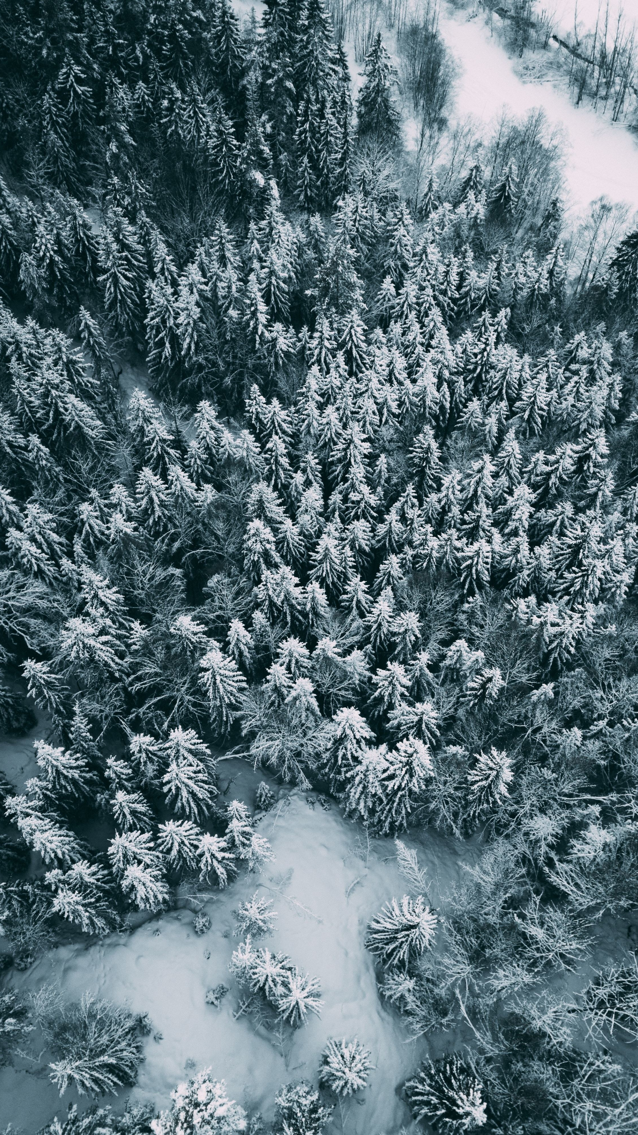 Aerial view, Winter pine trees, Frost wallpaper, Sony Xperia, 2160x3840 4K Handy